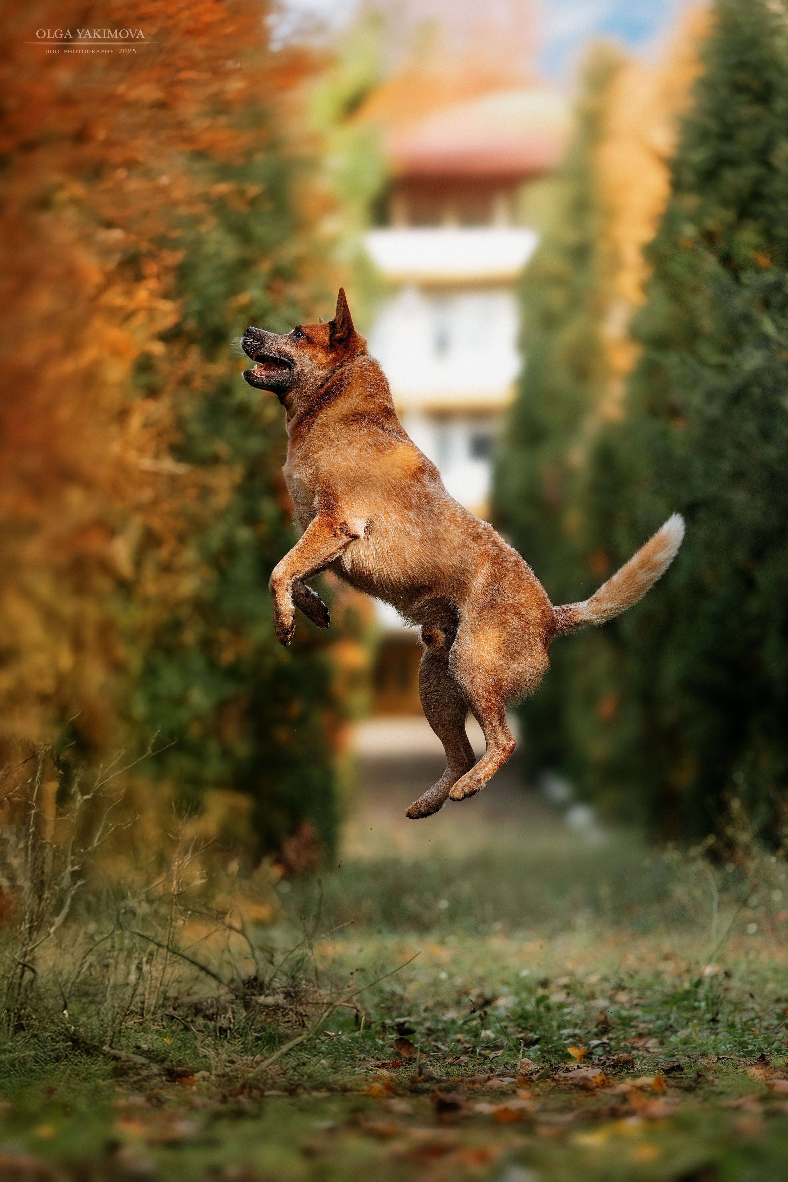 Экстерьер. Фотограф