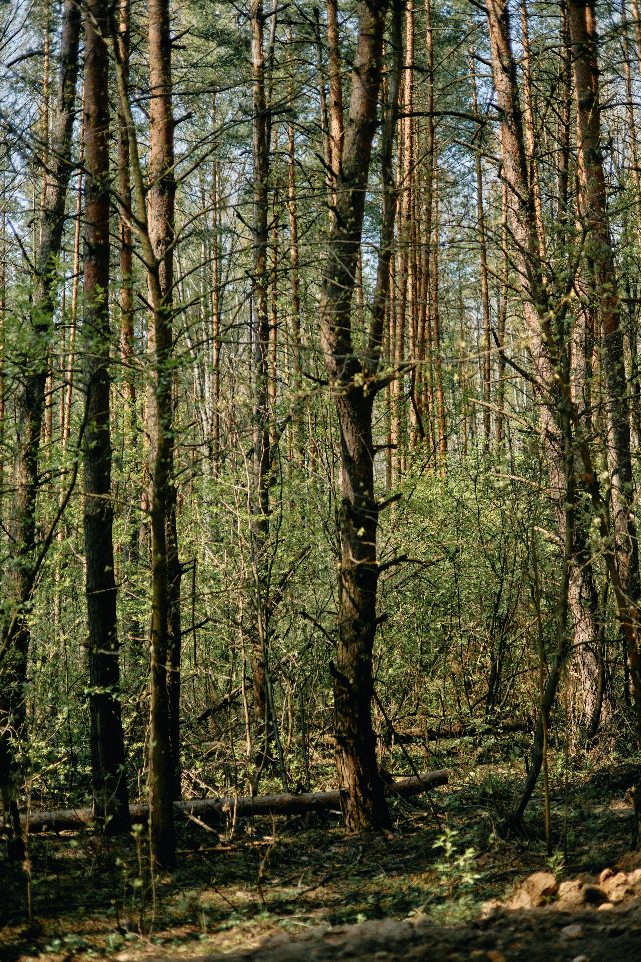 Бутик-отель Поле летом. Профессиональный Фотограф во Владимире, в Москве и в Суздале — Полина Романычева