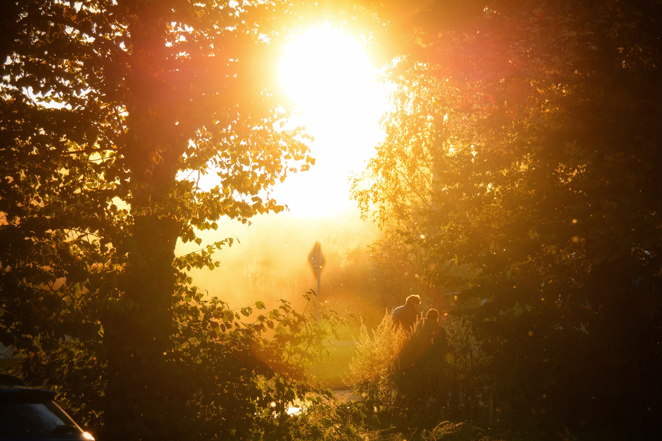 Фотограф Ваших событий 📸