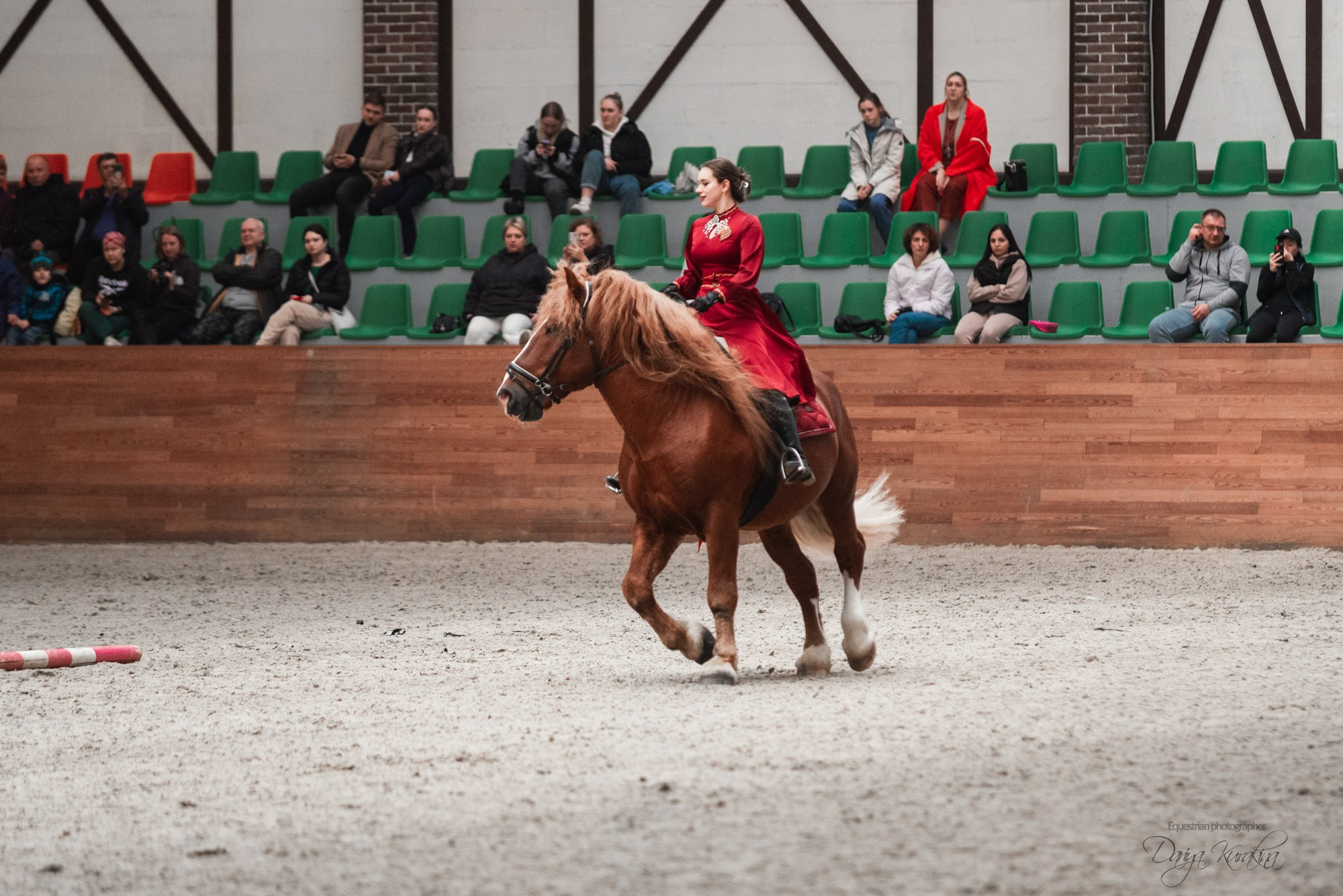 8-я международная выставка Конная Россия. Конный фотограф Куракина Дарья • Фотосессии с лошадьми