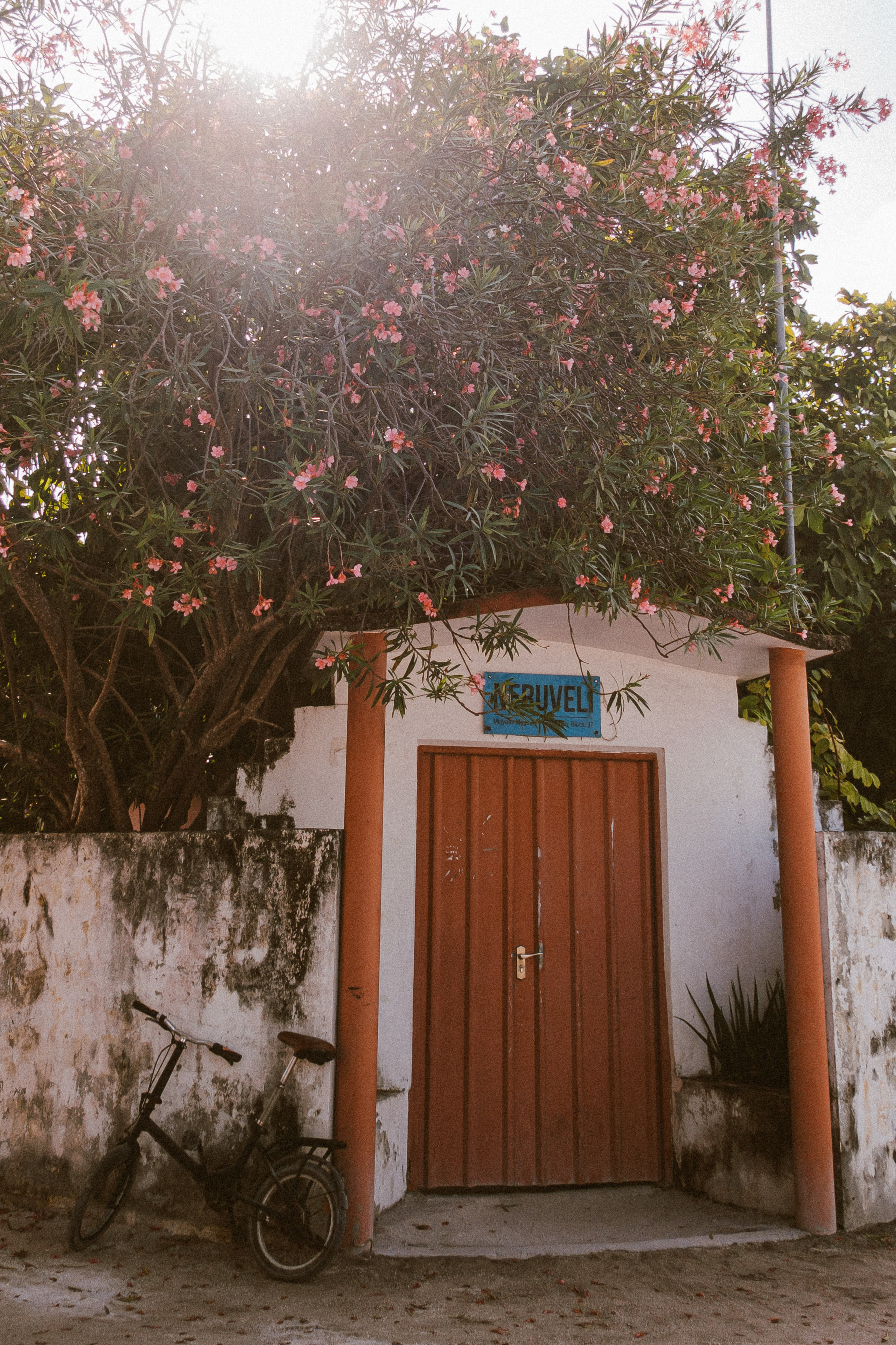 О.Тулусду. Мальдивы. Фотограф Светлана Голицына