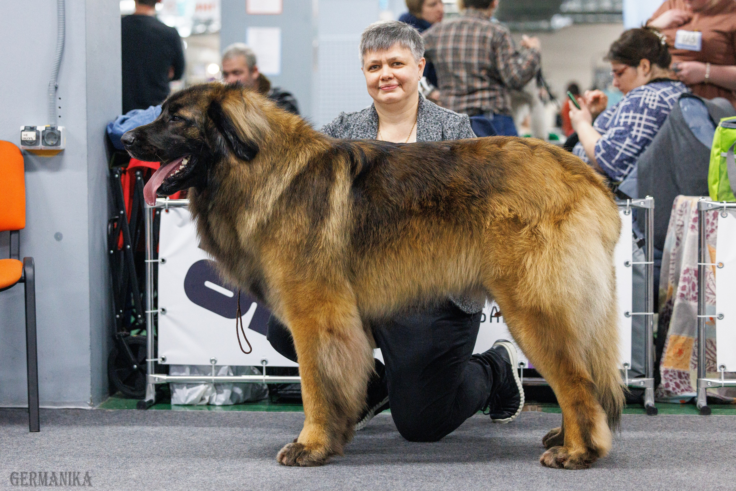 Сфера 28.01. и 4.02.2024. Фотограф-анималист Юлия Германика