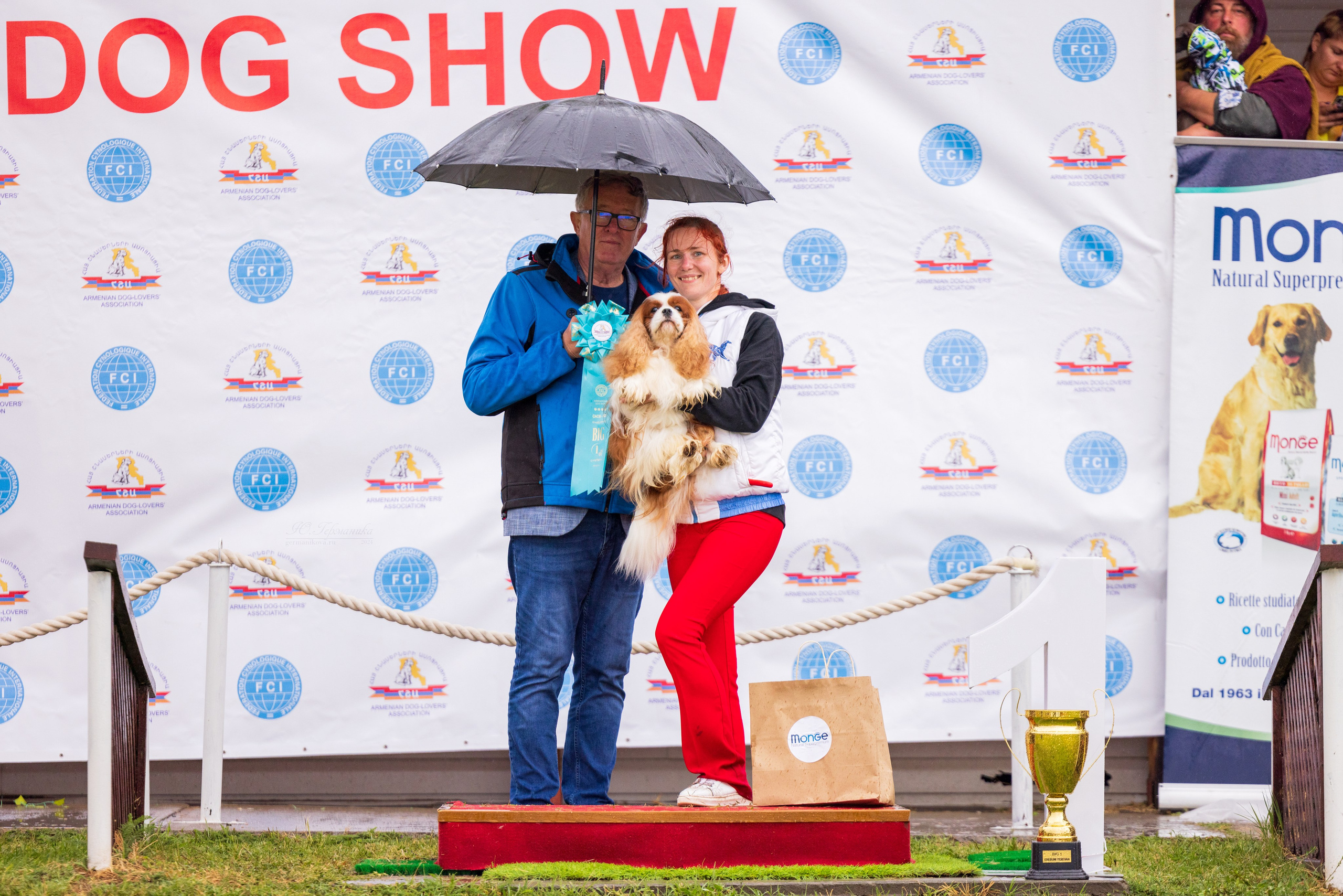 Армения,Ереван 3хCACIB 15-17.10.2024. Фотограф-анималист Юлия Германика