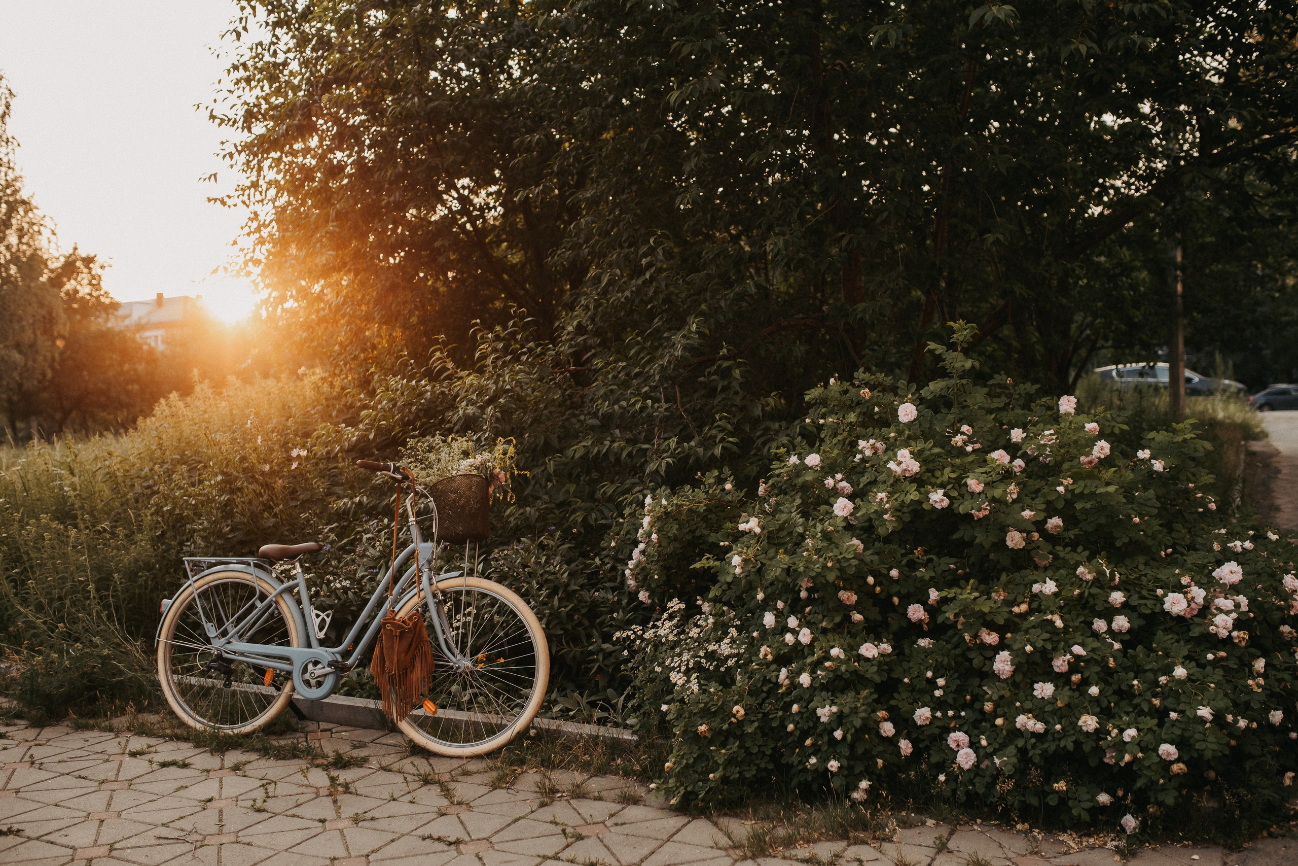 Света с велом. Семейный фотограф Трусова Евгения в Екатеринбурге
