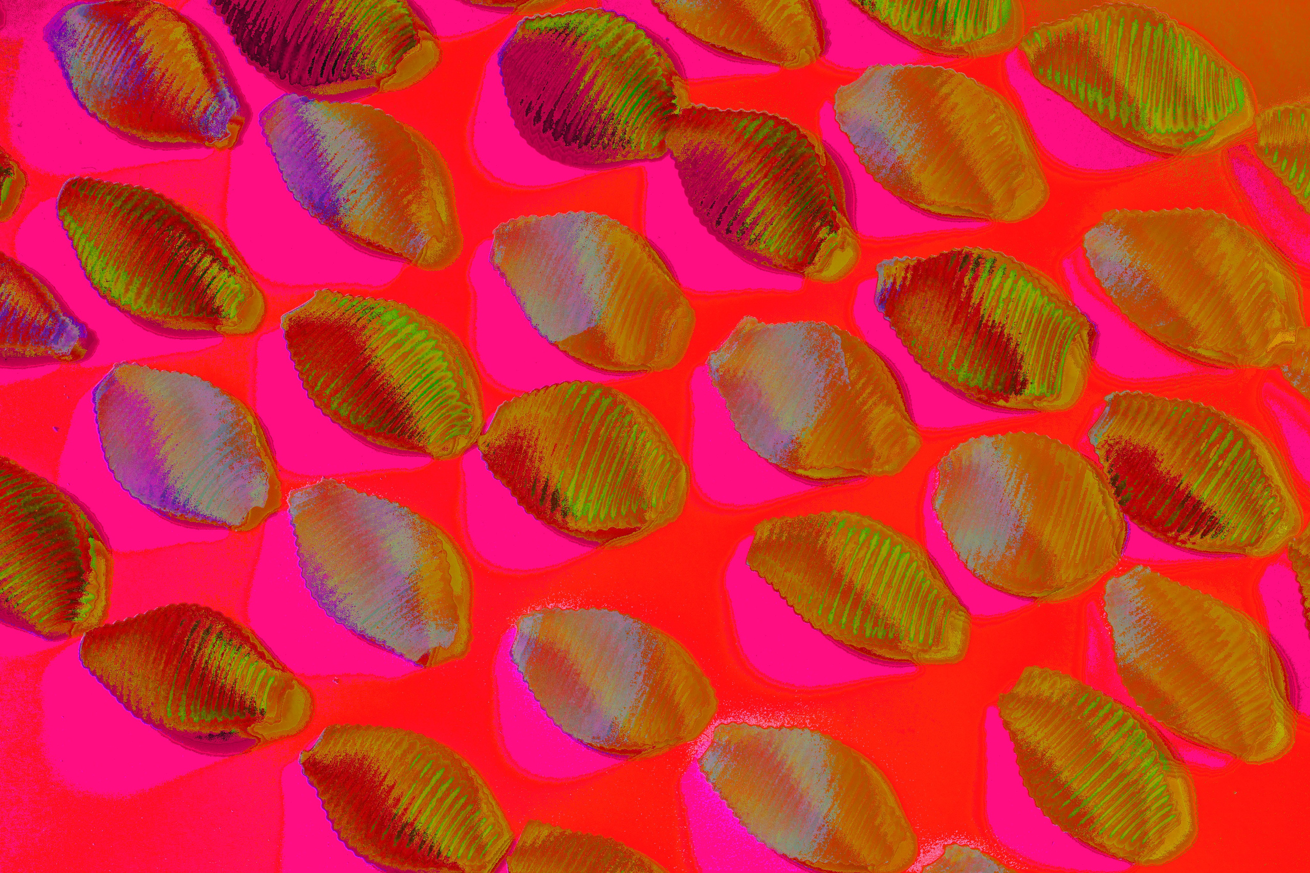 Вещи. Фотограф Старый Оскол Мавлыга Мария