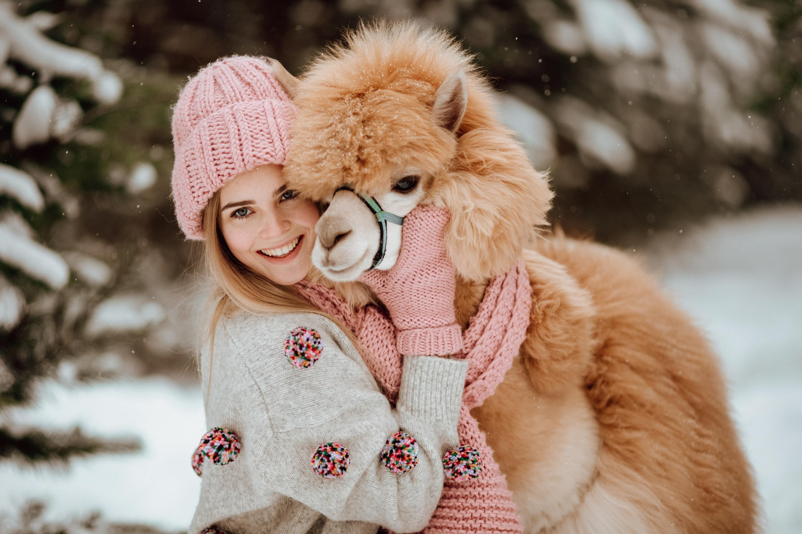 Winter wonderland. Алина Малышева, свадебный и семейный фотограф Москва