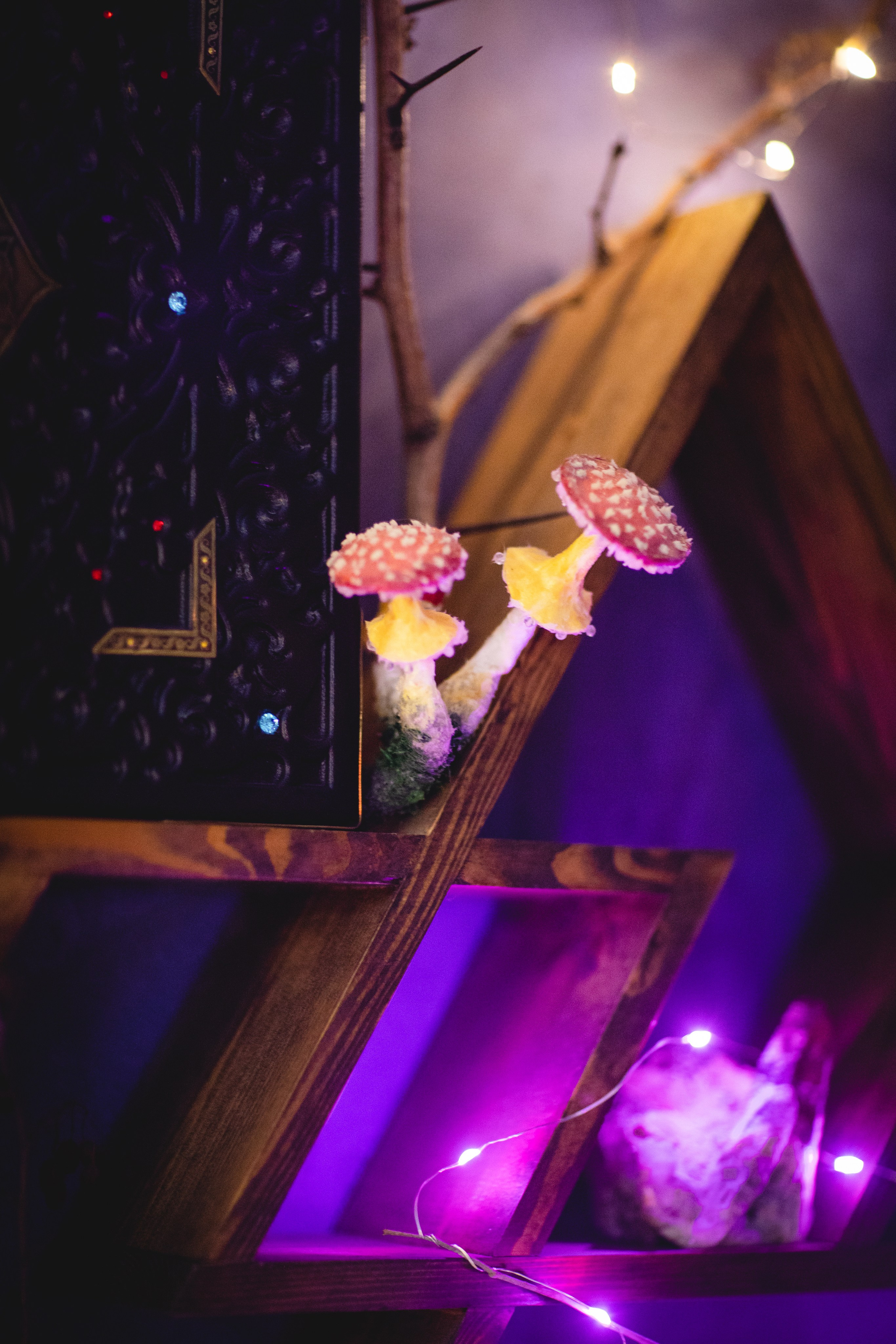 МАРТ-лавка красивых вещей). Семейный фотограф в Москве Анастасия Гурьянова