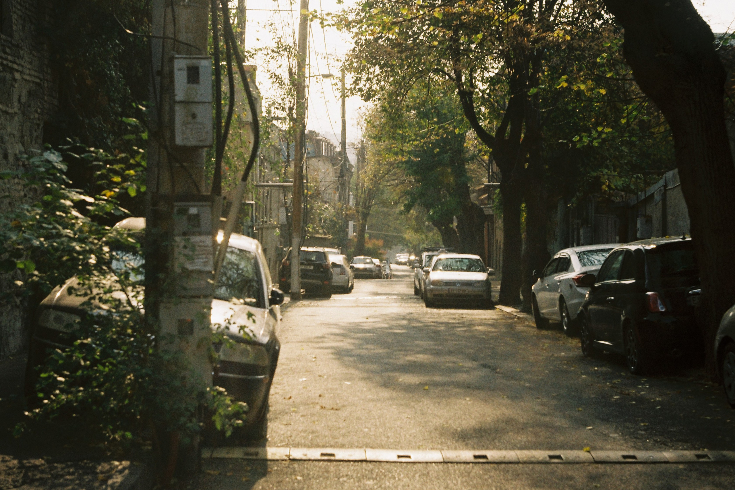 Test Film. Dmitriy [KCCC] is a pretty cool photographer