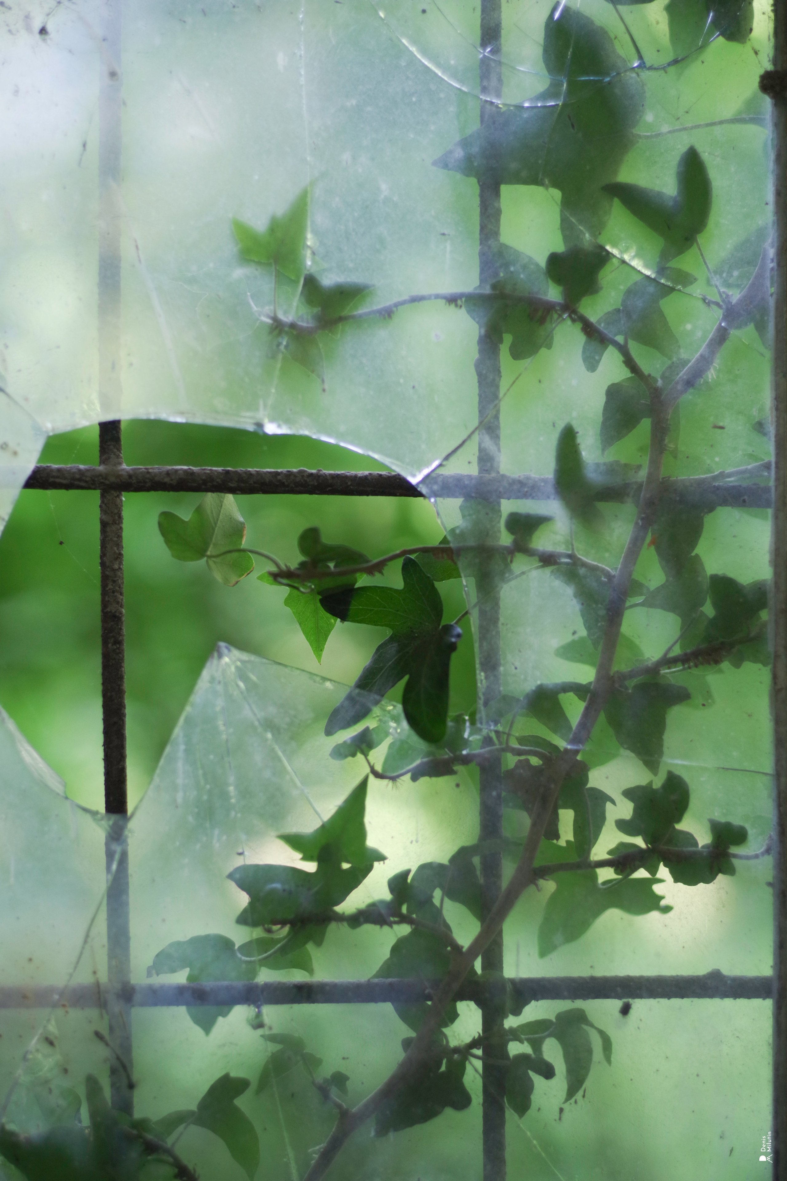 В отпуске с Артёмом. Портретный фотограф Денис Милютин