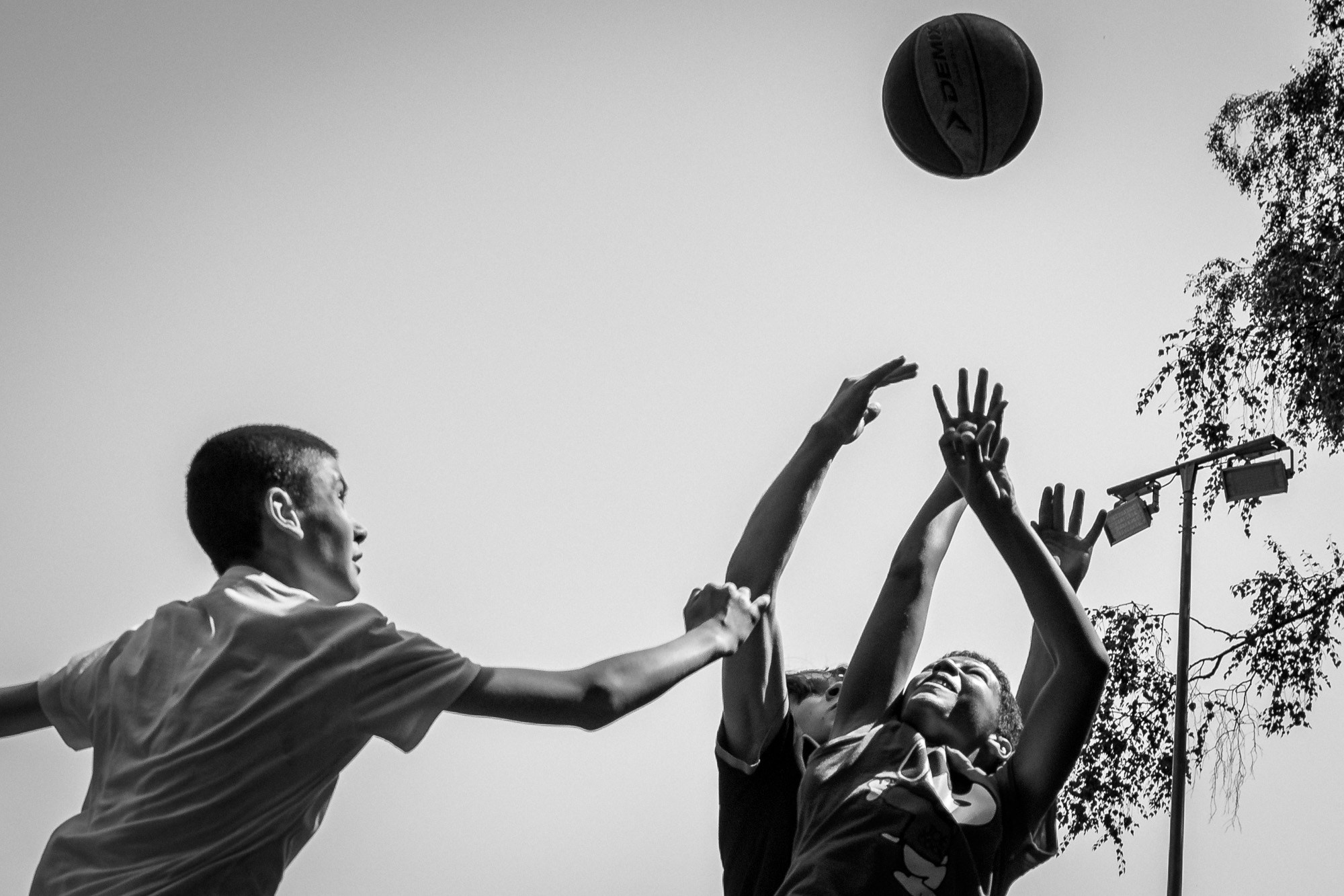 Соловьиное лето 2024. Спортивный фотограф Вадим Добедченков