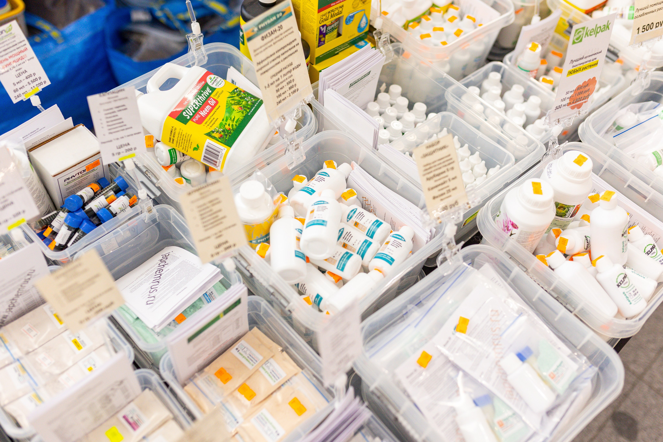 Орхидиум сентябрь 2025. Александра Куликова фотограф, Москва