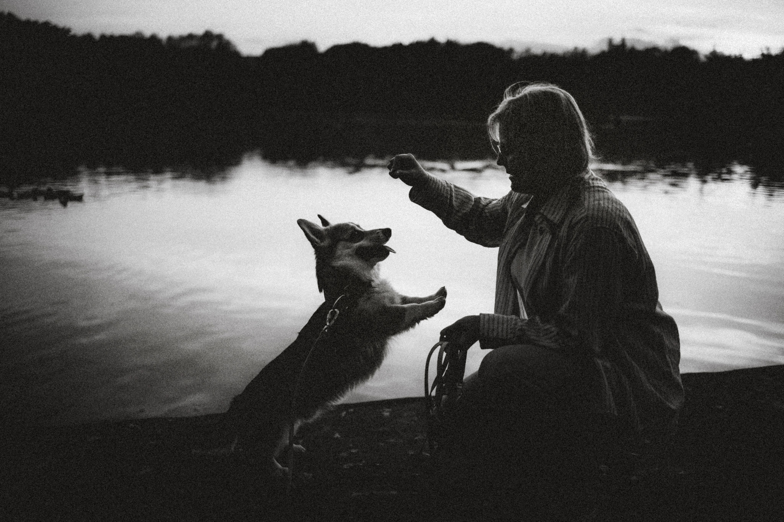 Илай, Зайка и их семья