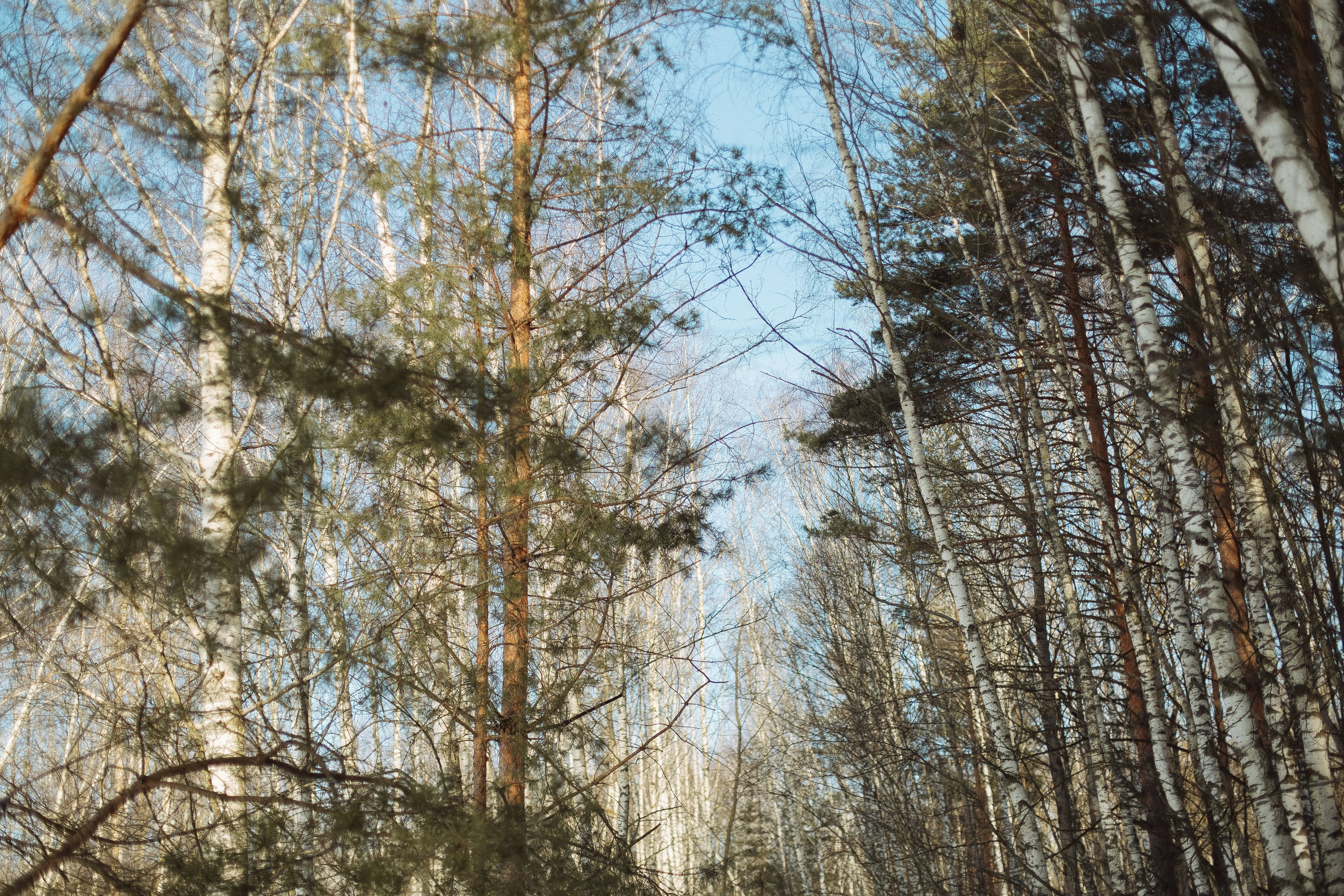 Экопарк ПОЛЯНЫ. Главная