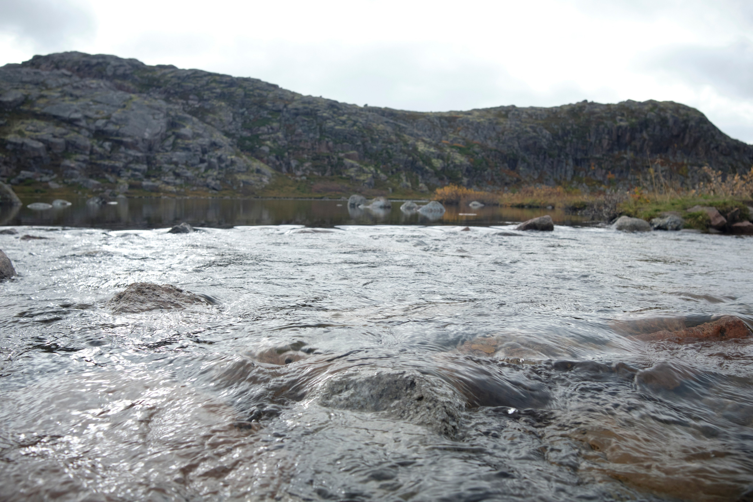Путешествие в Териберку. Елена Павленко. Фотограф. Москва