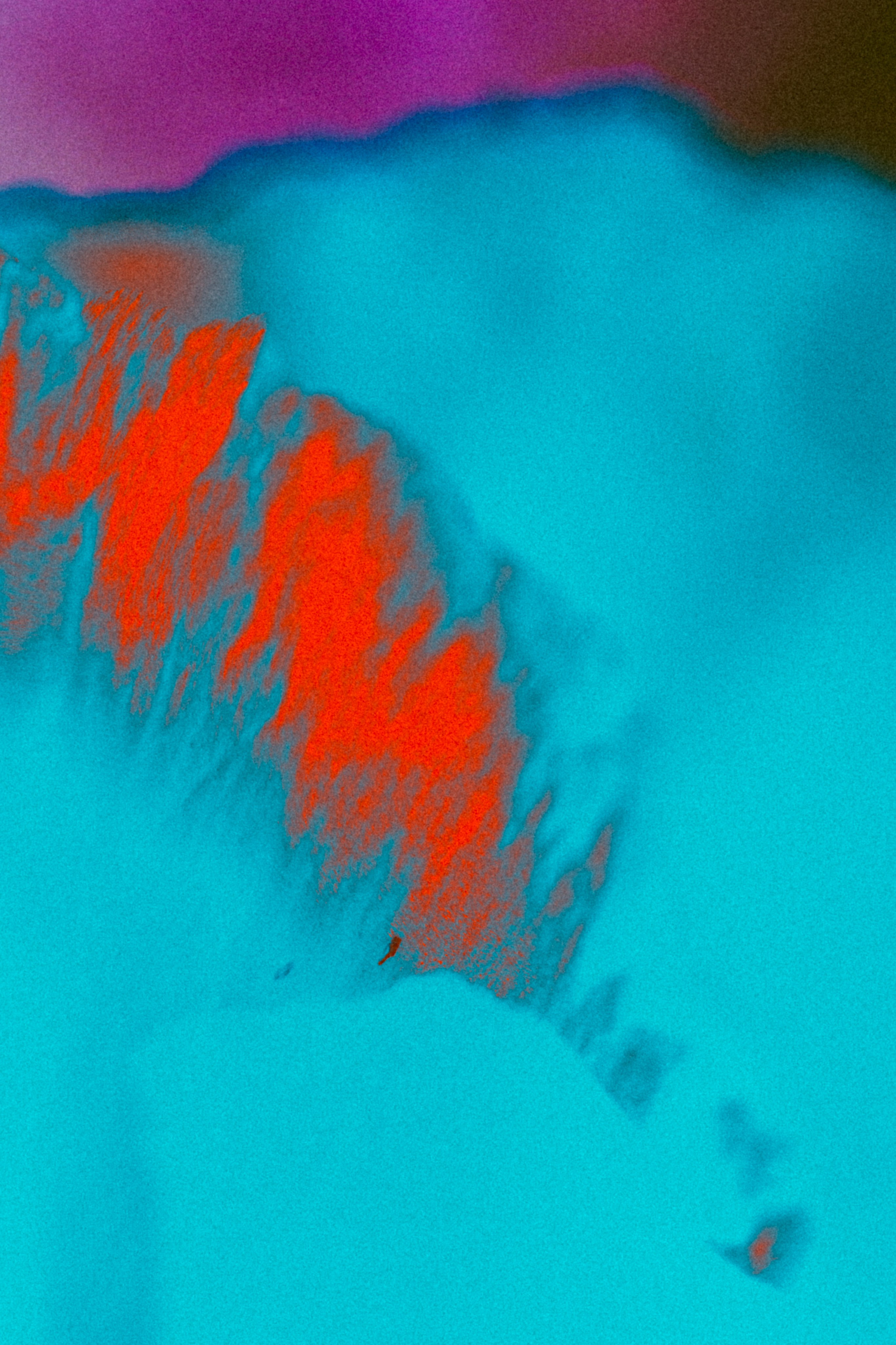 Хокку цветок 