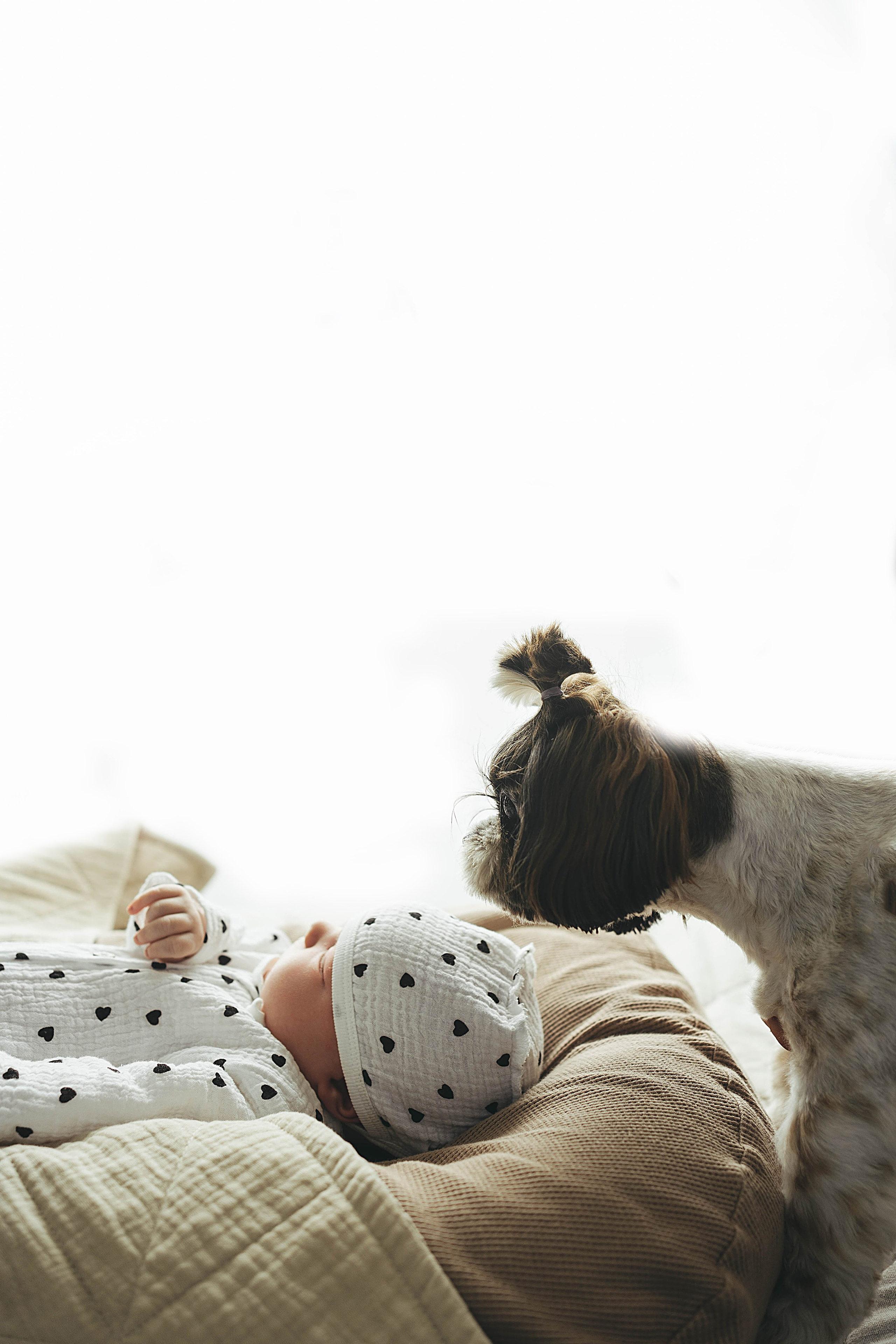 фотосъемка с животными 