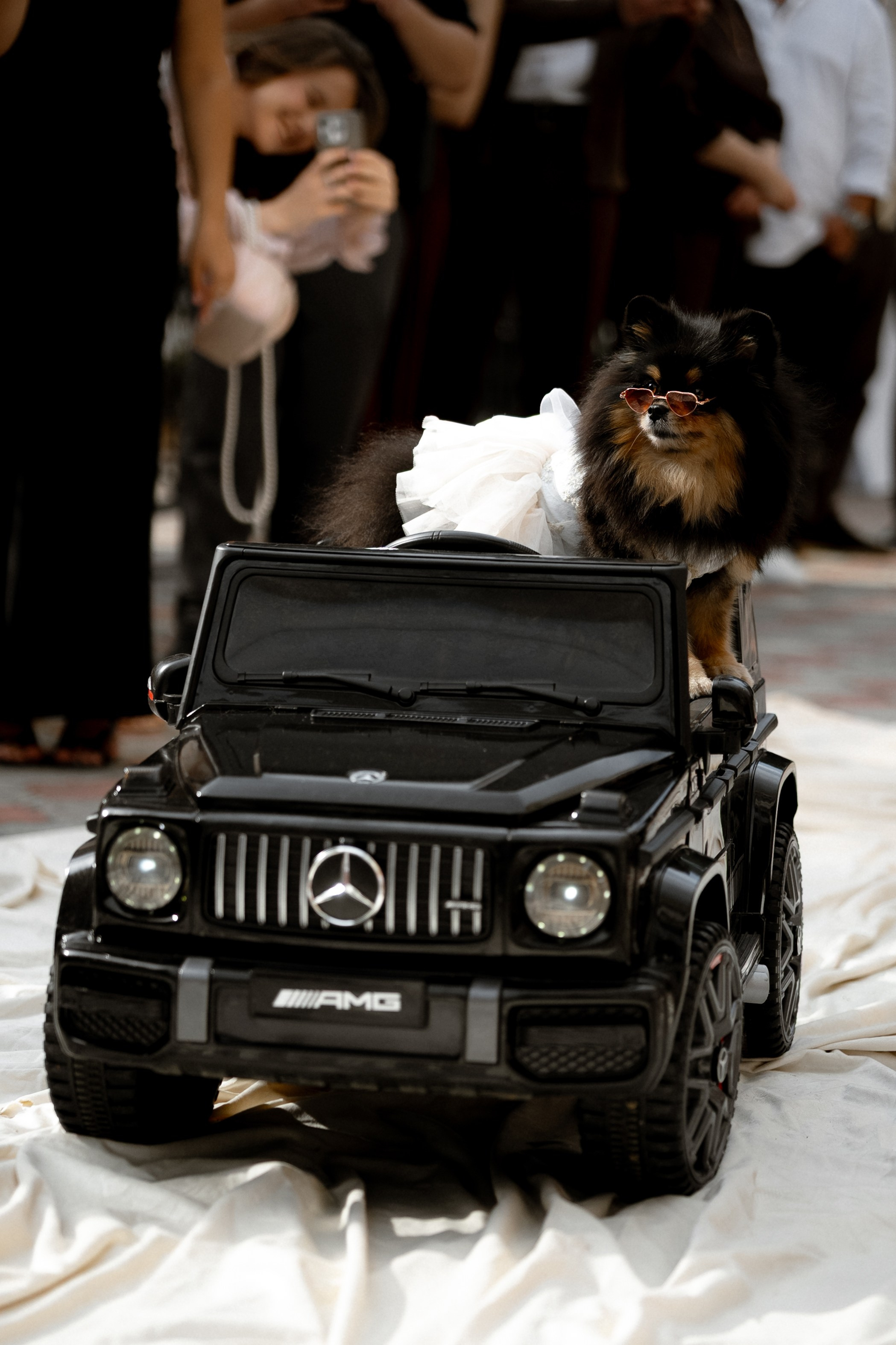 Tanya+Sasha. Семейный и портретный фотограф в Саратове Сахарова Маша