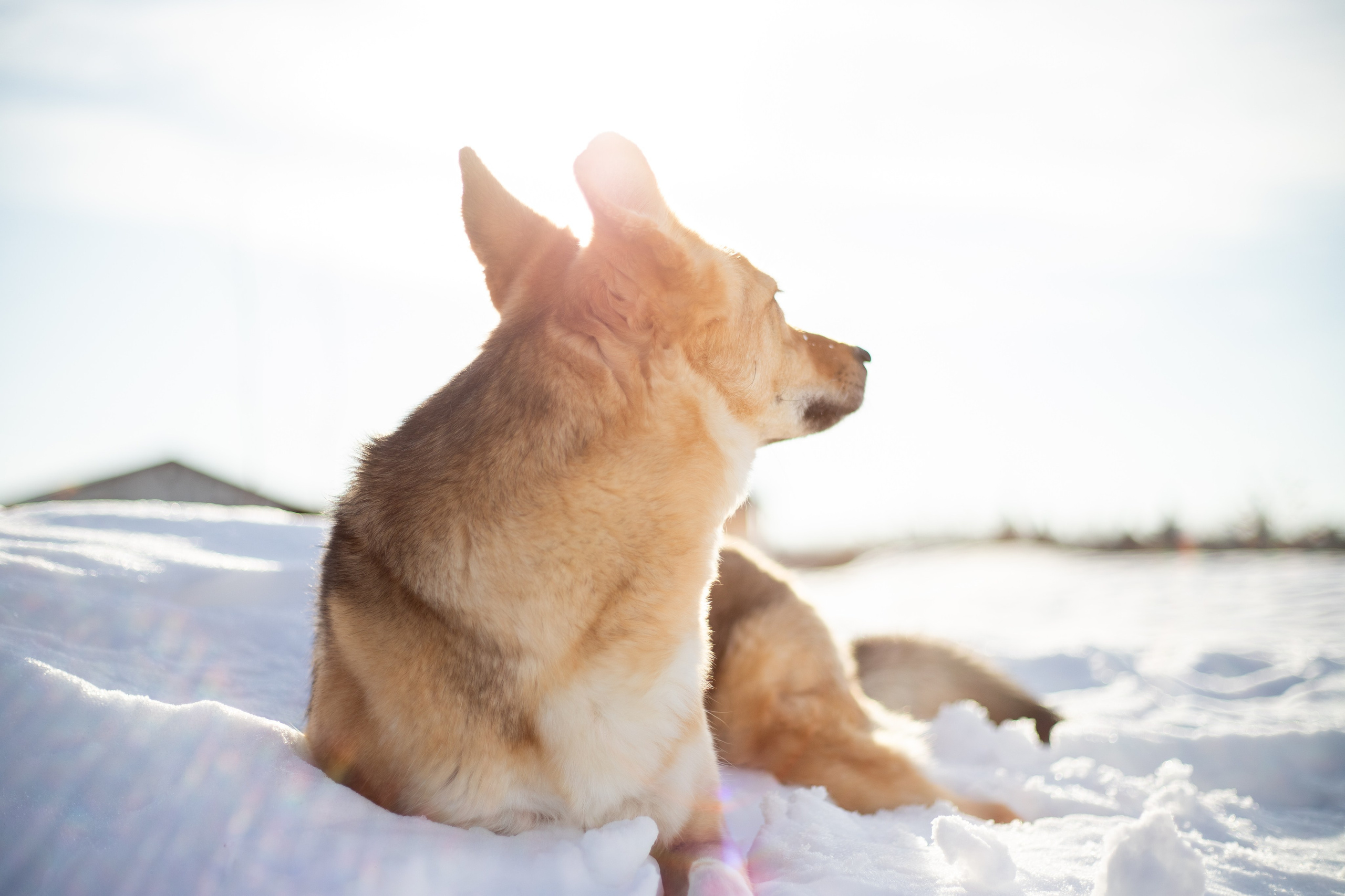 Семья. Фотограф в Перми Любовь Огородова | Авторские туры