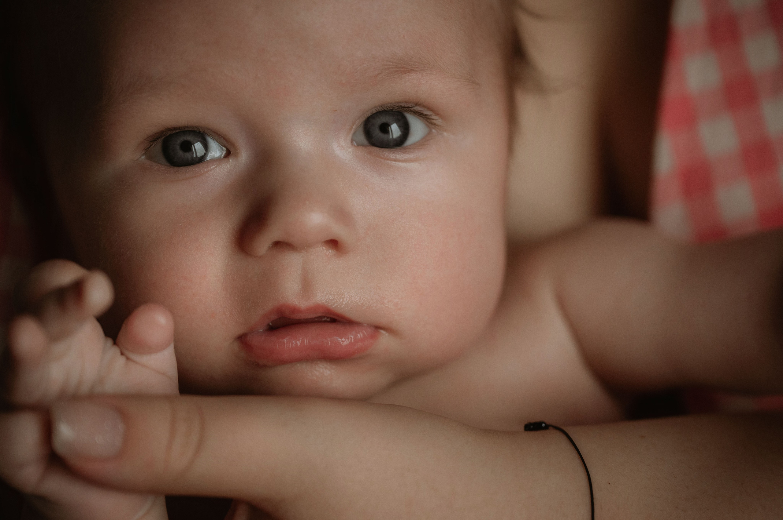 София и Бо. Фотограф беременности и семьи, домашние съемки, Ньюборн