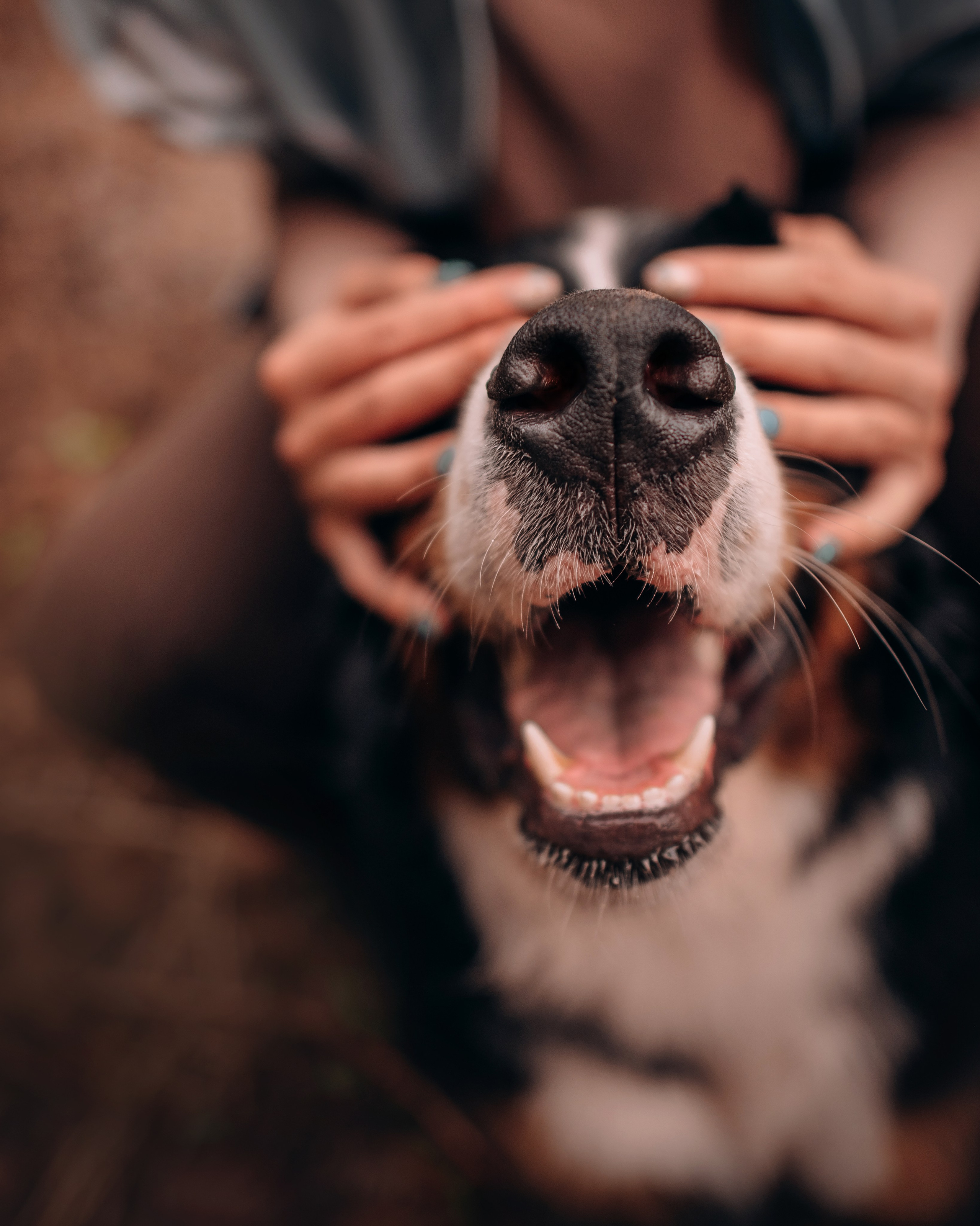 Владивосток: Марс и Маша. Портфолио