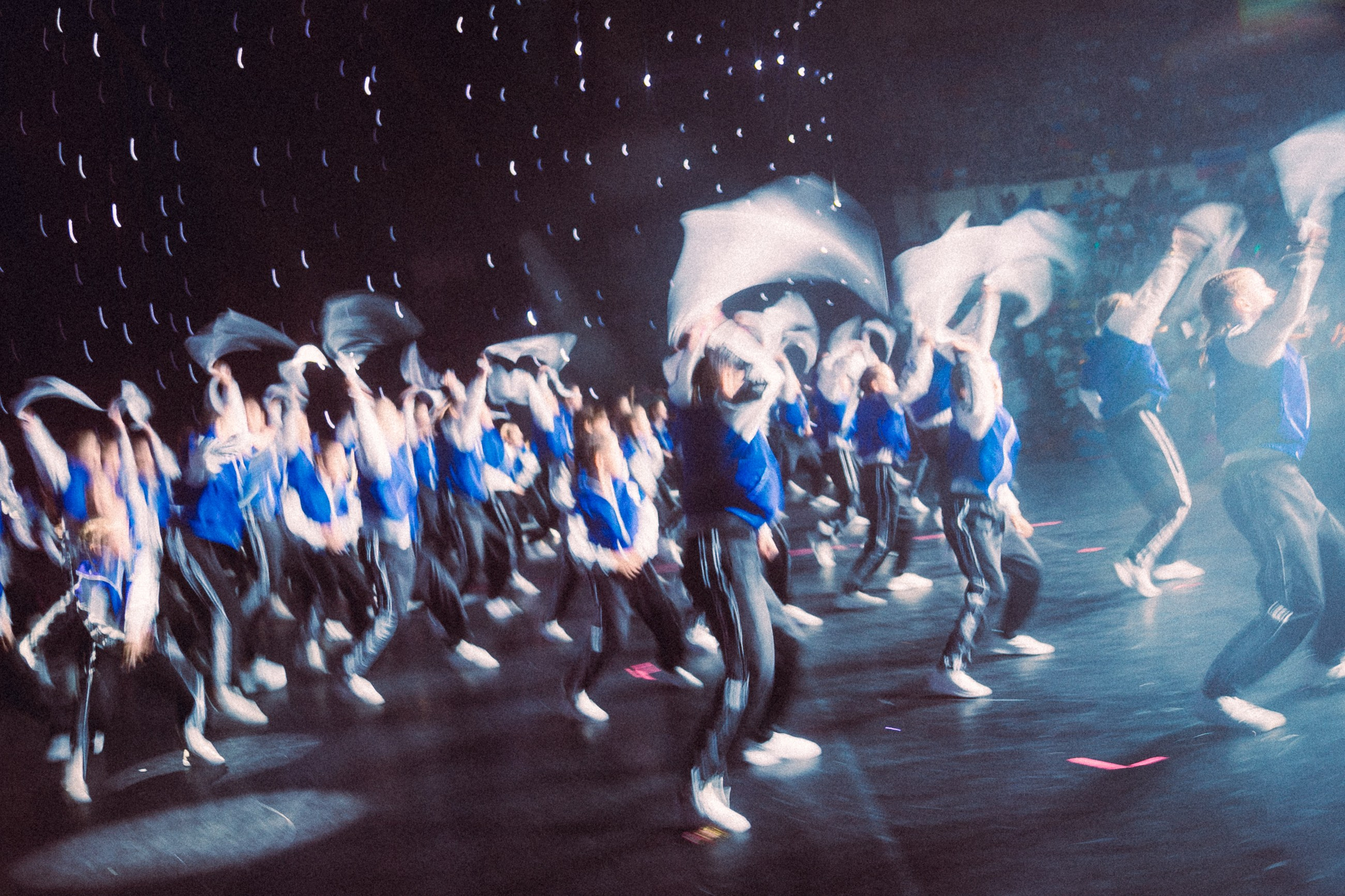 TODES DANCE BATTLE ЛУЖНИКИ 2024. Юлия Кулиш // Pocahontas