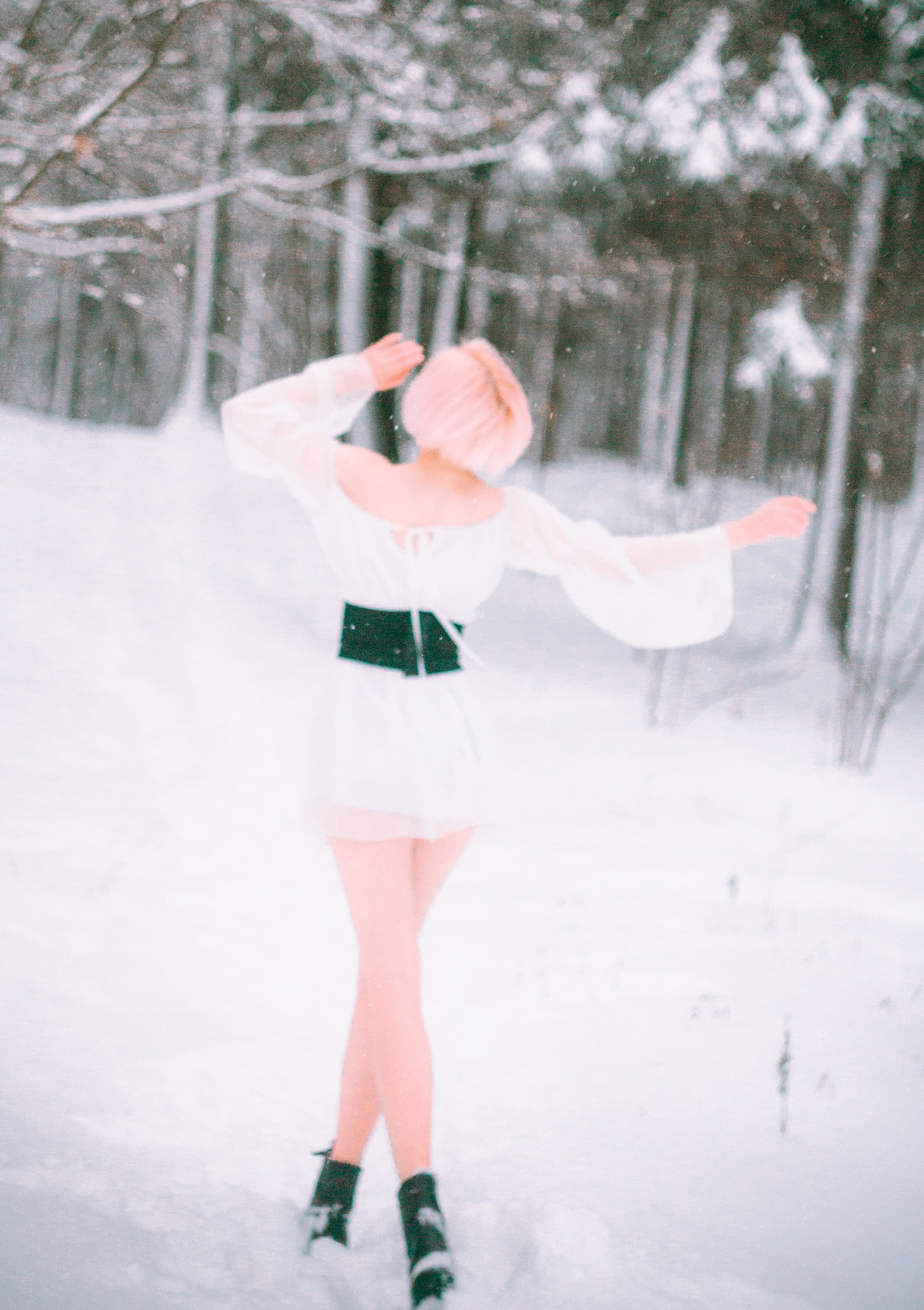 Elizaveta Rose | Forest