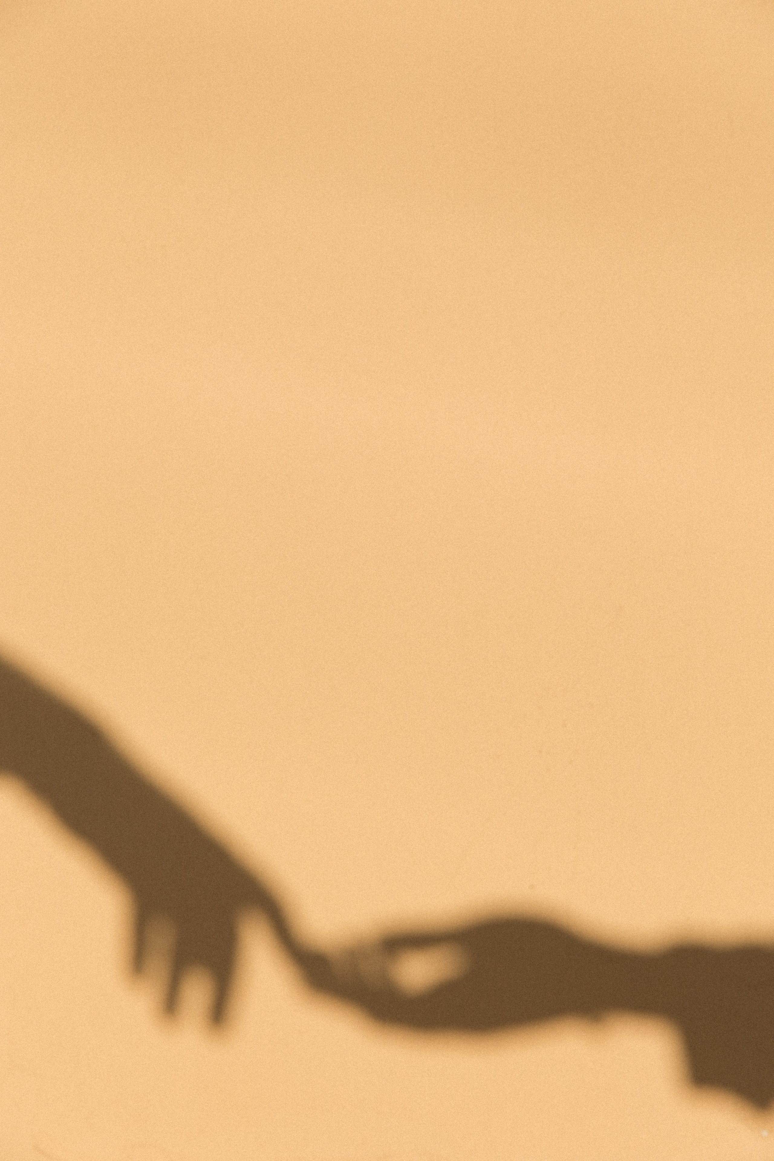 Анонс «Любовь на кончиках пальцах» Илья и Кира. Свадебный фотограф Колесников Антон