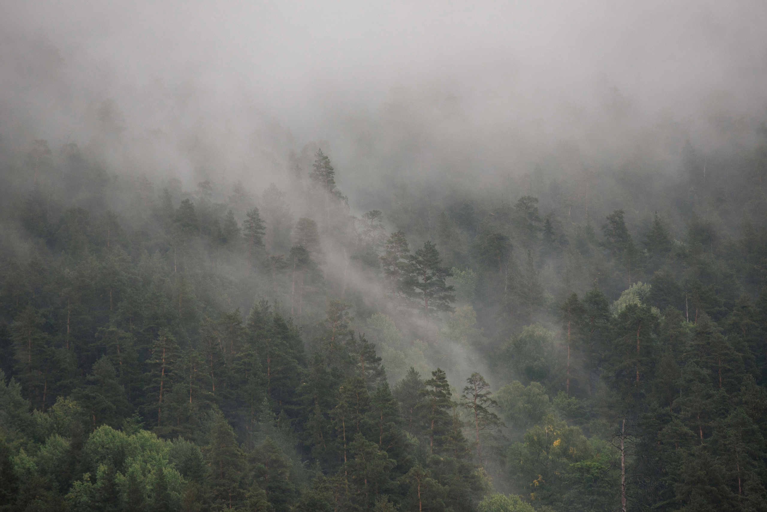 Пейзажи. Смотри, красота!