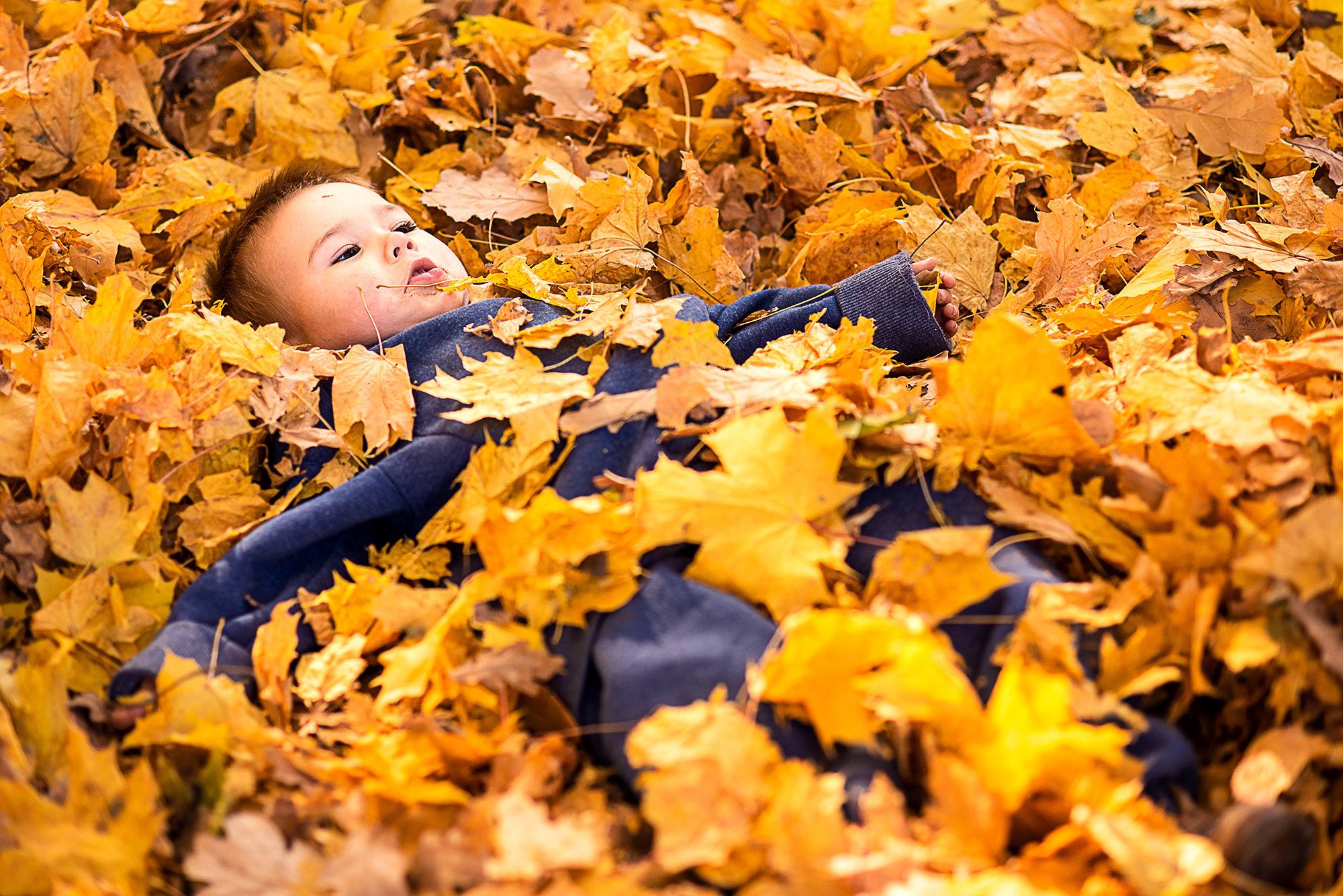 Детская фотосессия. Семейный и портретный фотограф в Самаре Дарья Качалова