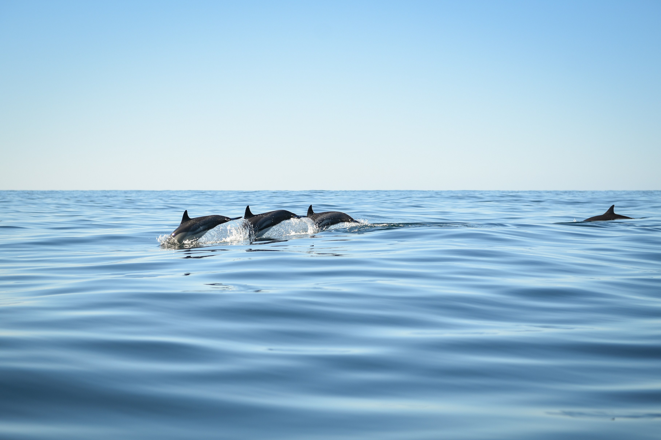 Wild and free. Anastasia Serdyuk, travel photographer, travel photo, portraits, stories, fineart prints