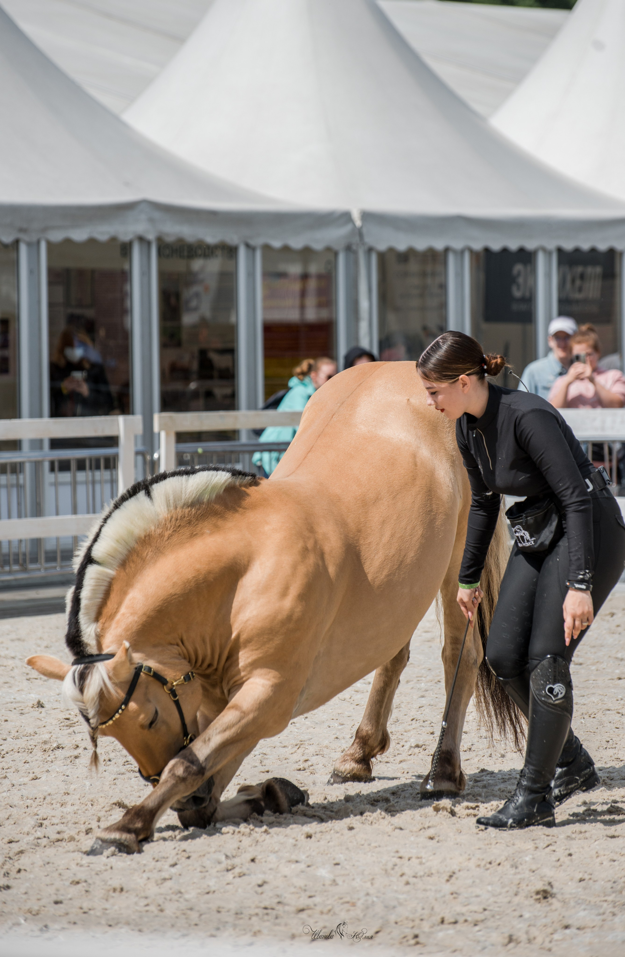 Эквирос, Москва. Конный фотограф в Саратове Юлия Иванова