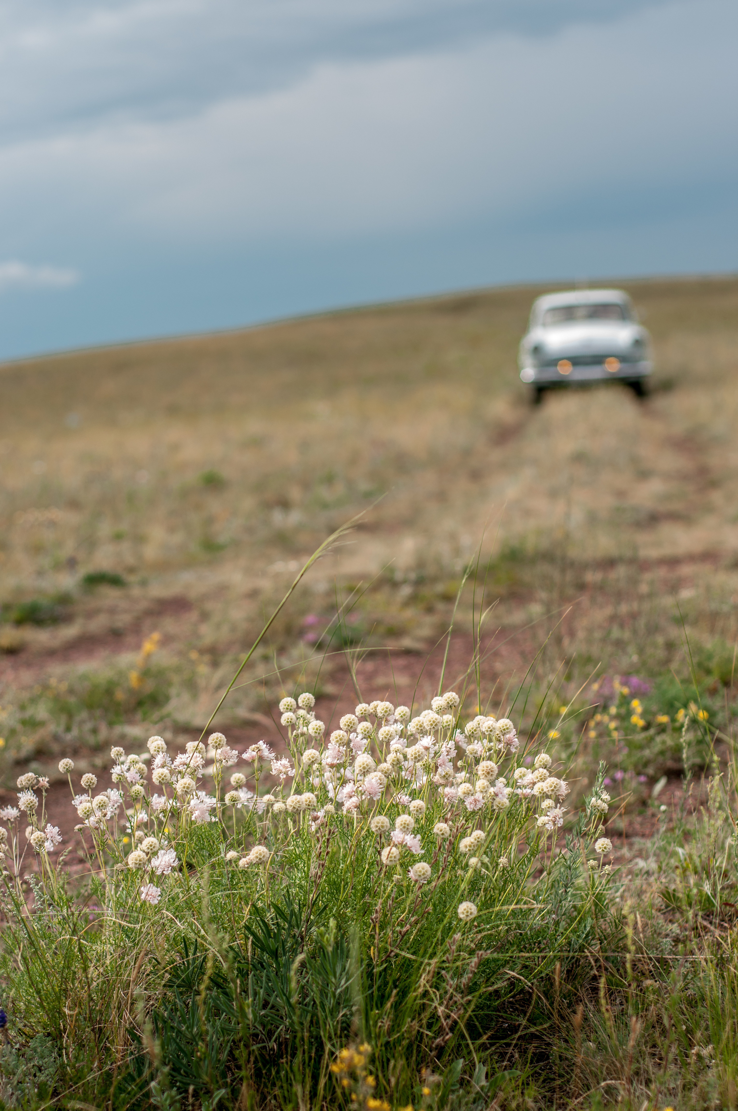Профессиональный фотограф Екатеринбург. Свадебный и семейный фотограф в Екатеринбурге Михаил Третьяков