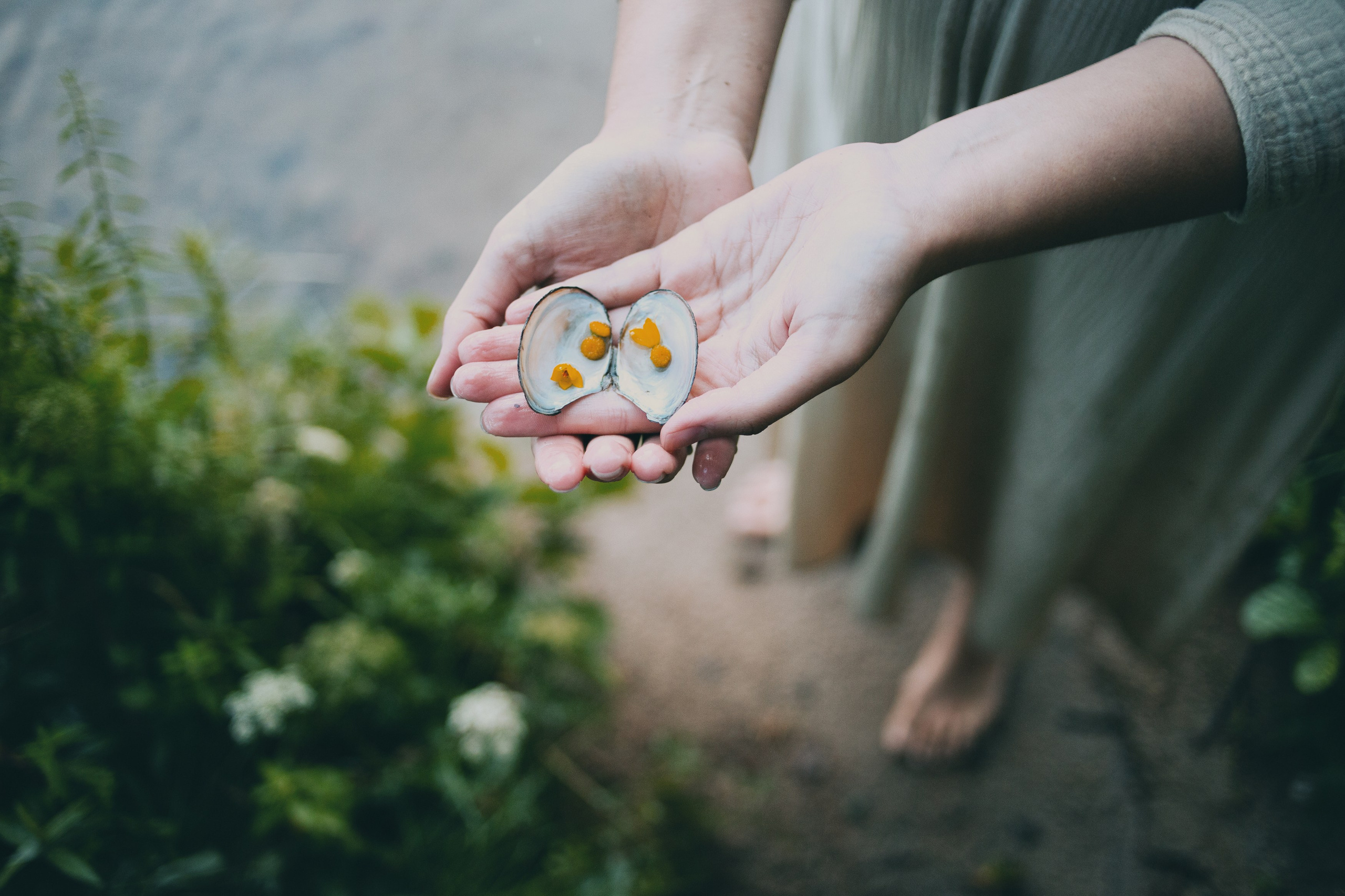 Лесная и озерная. Фотограф в Санкт-Петербурге Вера Сивенкова