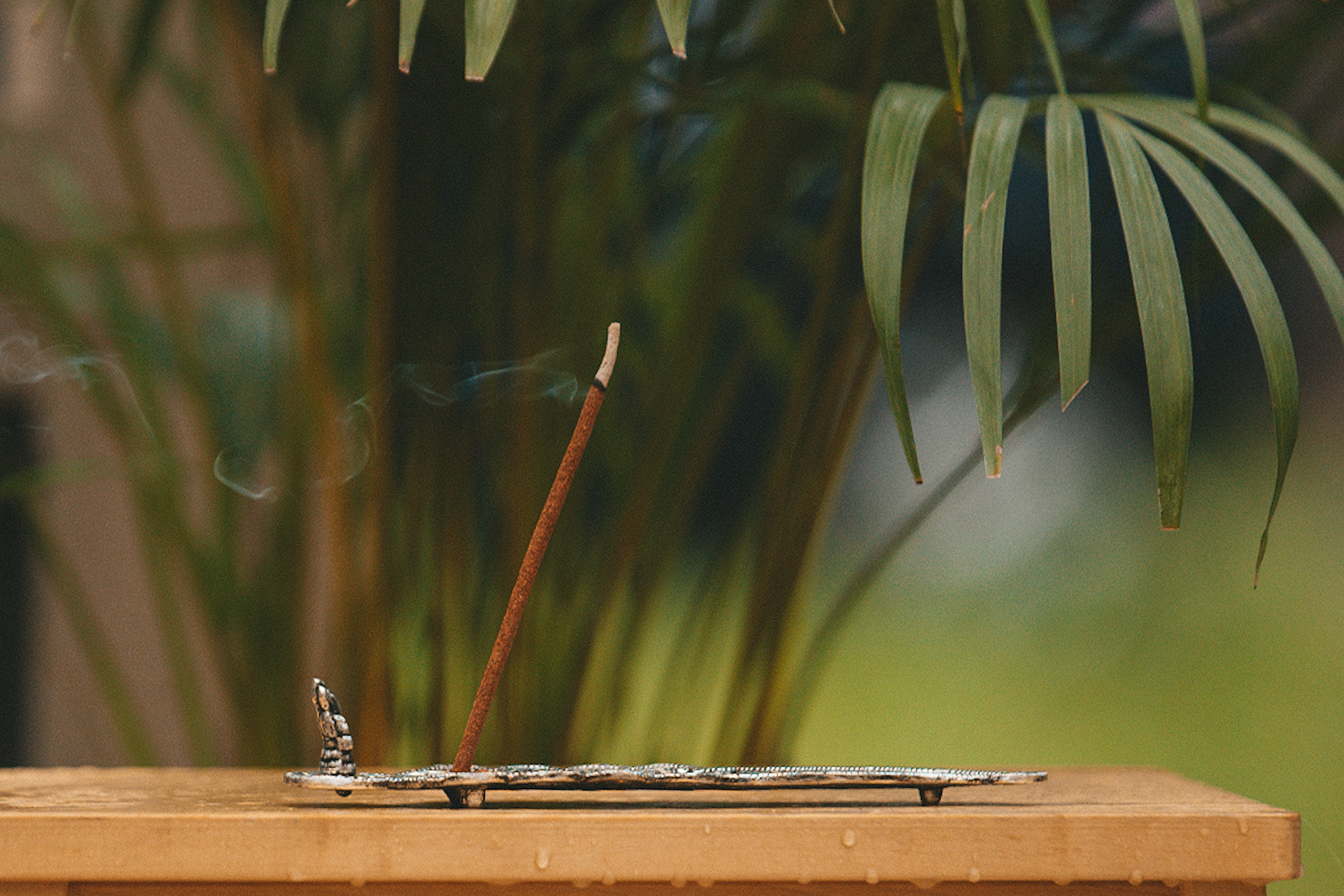 Артём. Yana Kotlyarova lifestyle фотографов