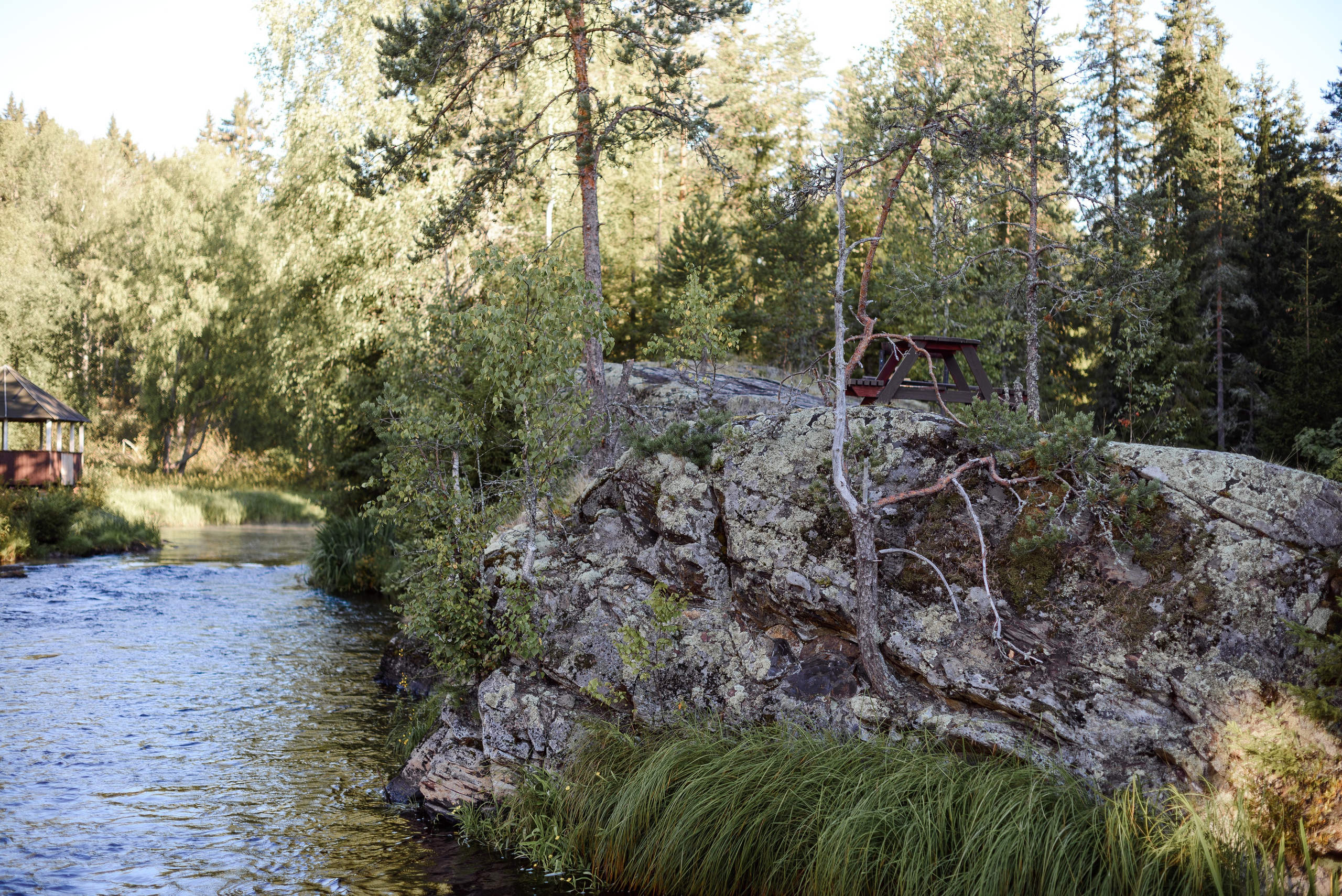 Карелия. Семейный и детский фотограф в Санкт-Петербурге Городнова Татьяна