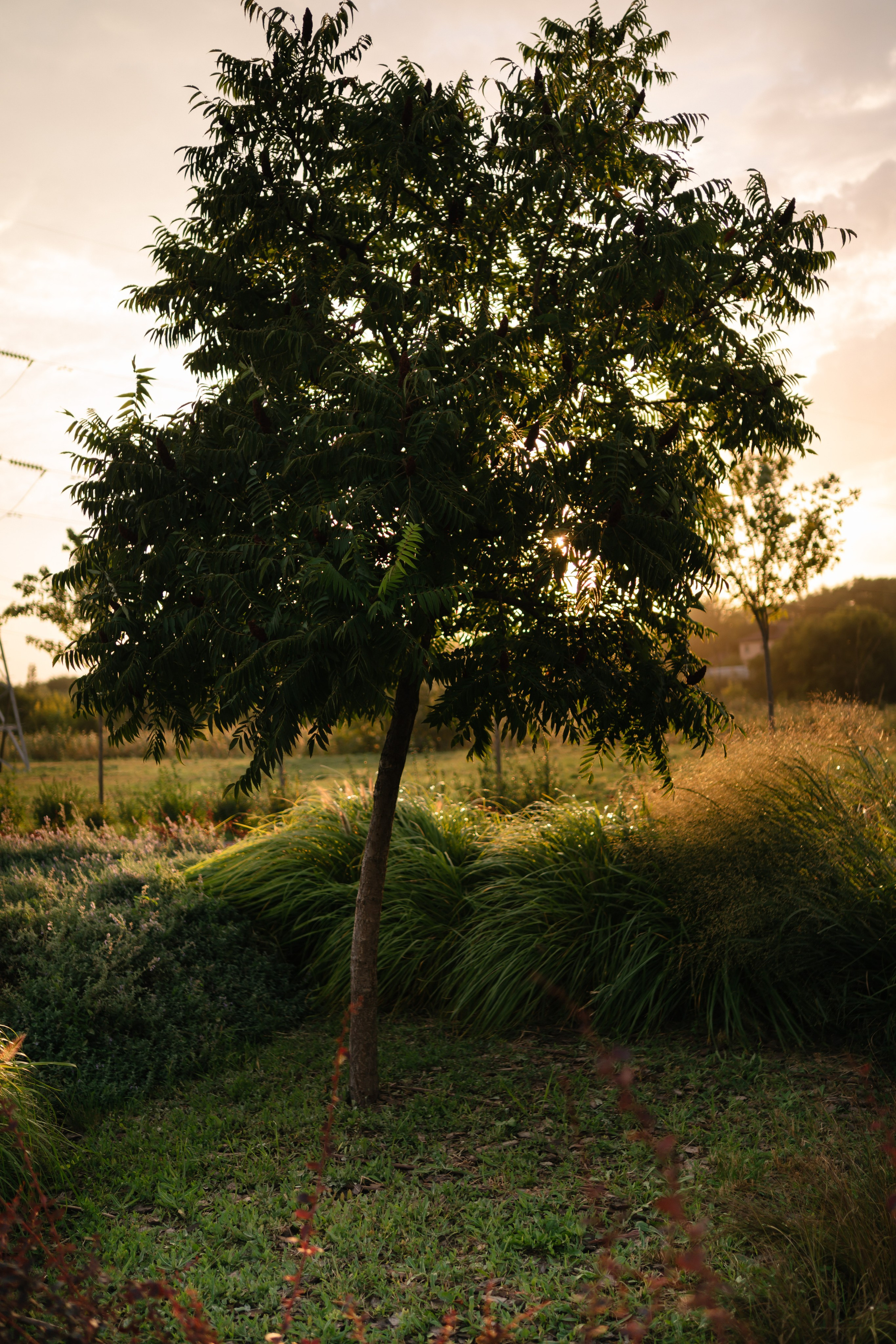 Локации для школьных съемок. Семейный фотограф и видеограф Ростов-на-Дону