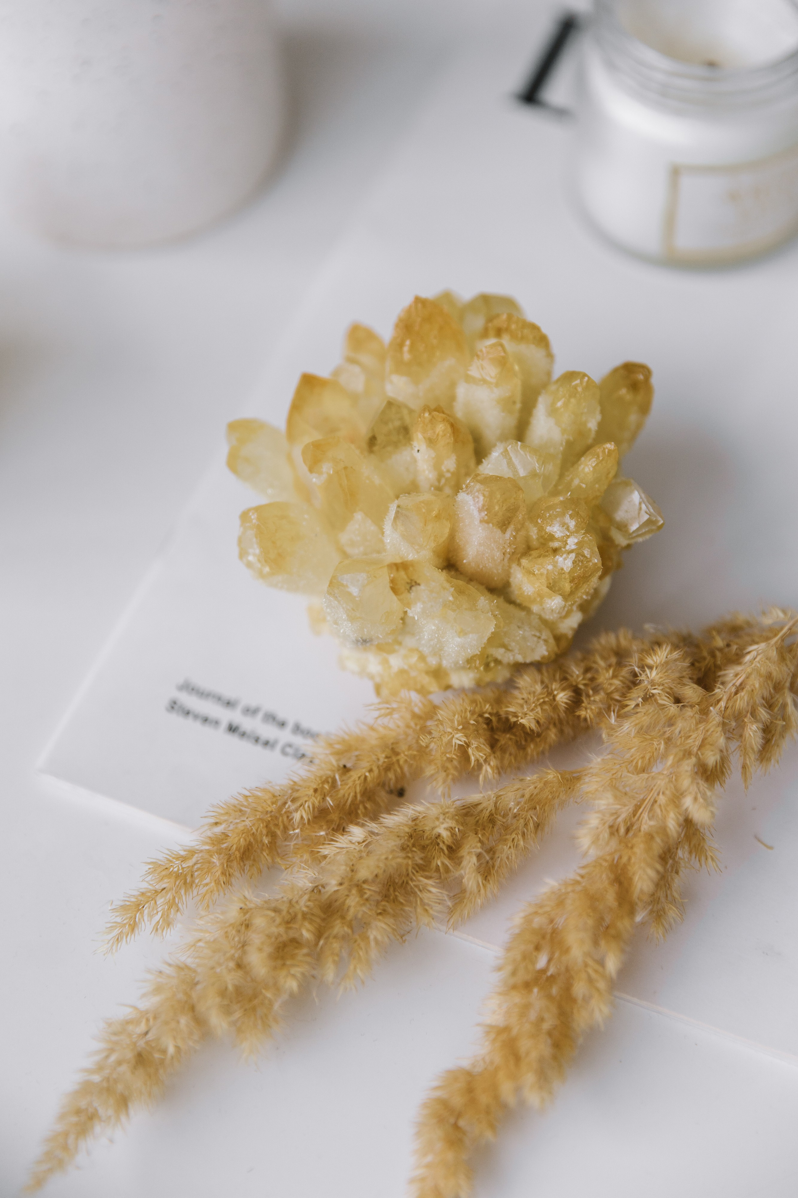 Камни. Фотограф Елена Краснопевцева