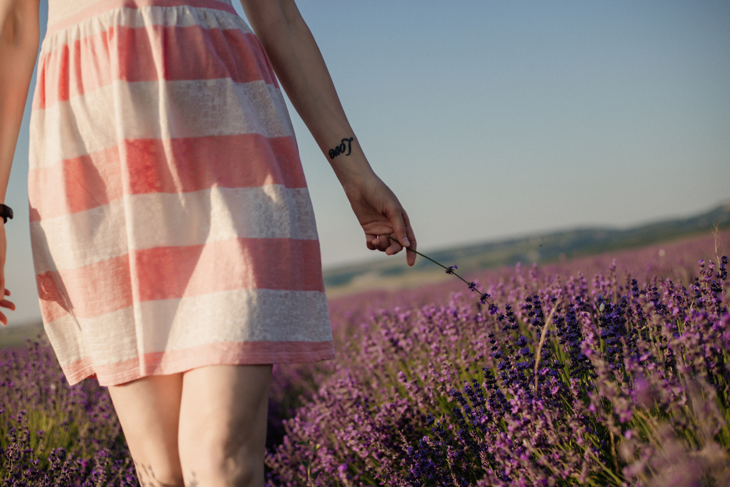 Лаванда. Фотограф и Видеограф Севастополь Крым