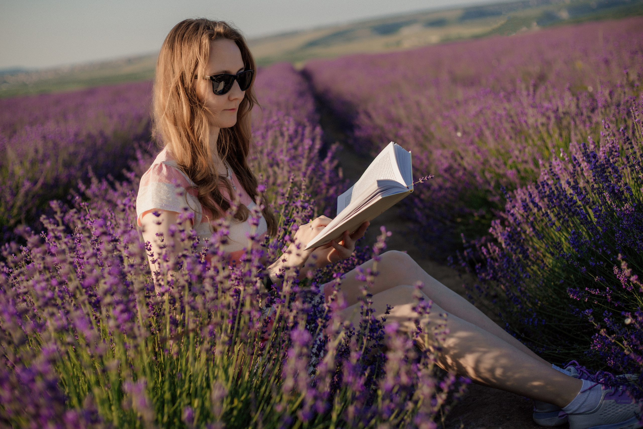 Лаванда. Фотограф и Видеограф Севастополь Крым