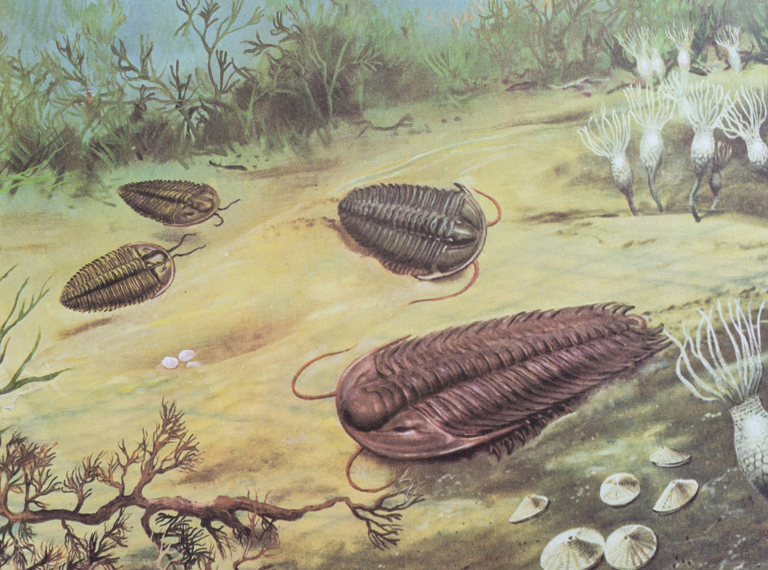 Дневник каньона. Екатерина Васильева художник, куратор и преподаватель