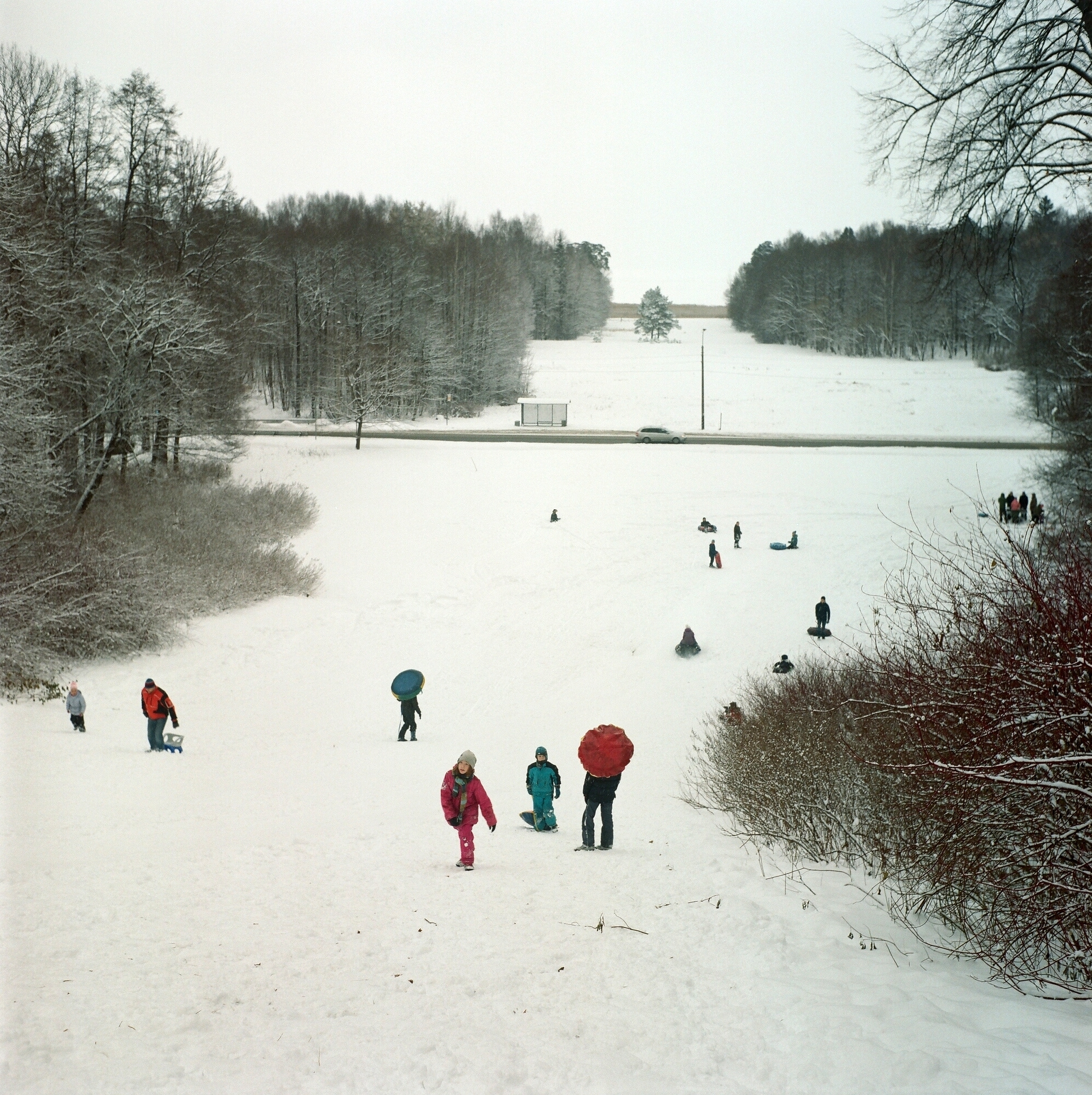 Дорога на Петергоф. Екатерина Васильева художник, куратор и преподаватель