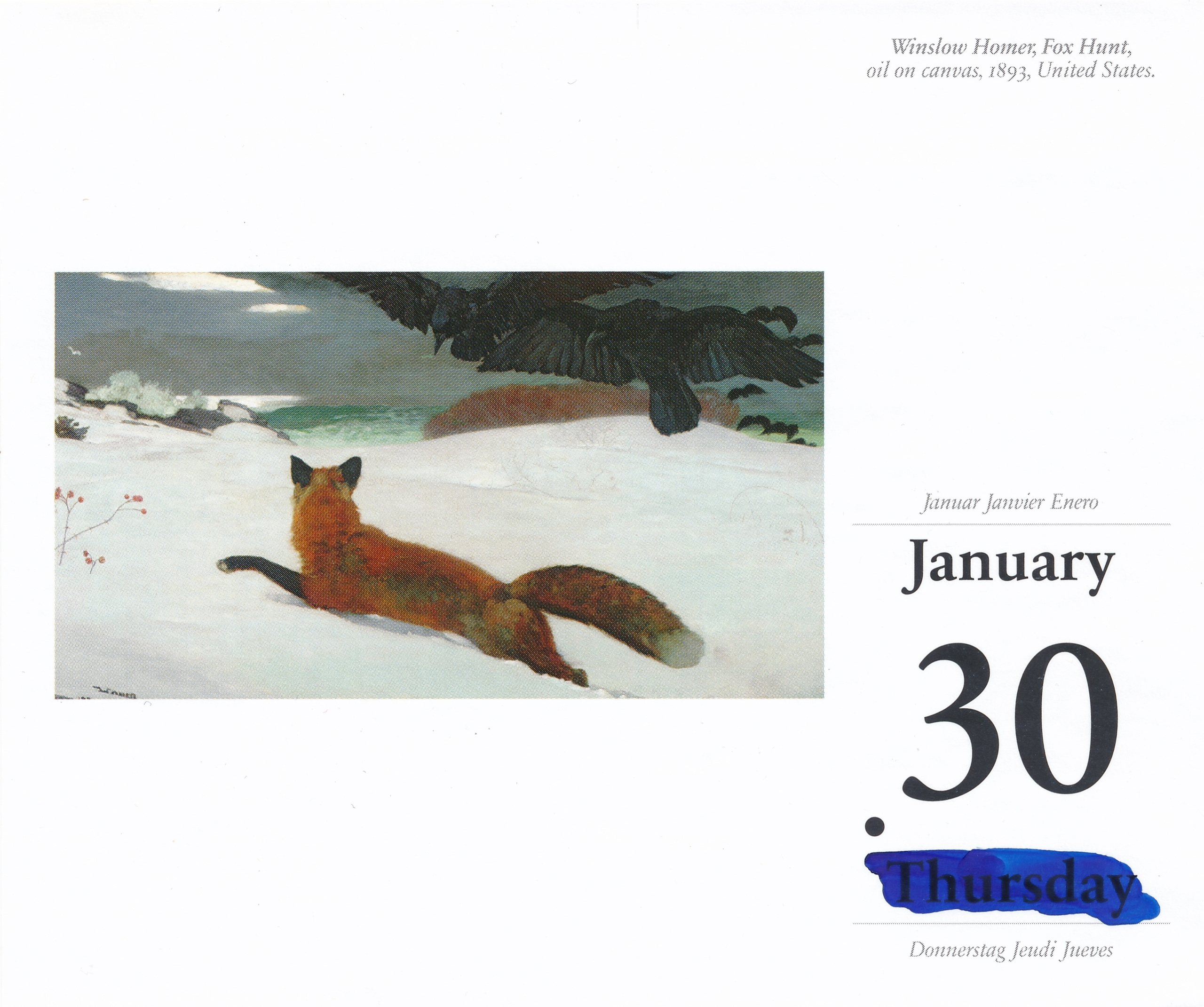 Дневник каньона. Екатерина Васильева художник, куратор и преподаватель