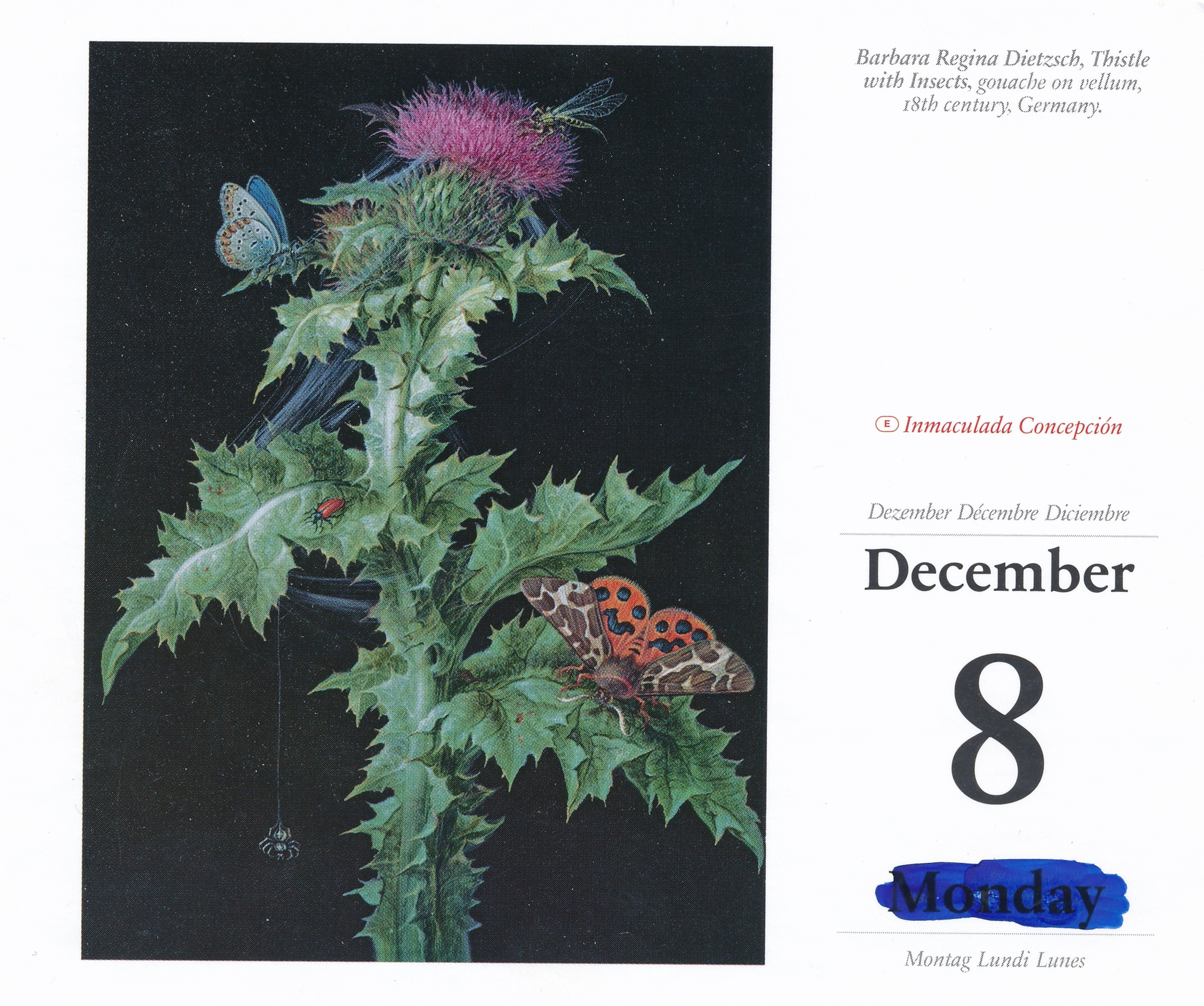 Дневник каньона. Екатерина Васильева художник, куратор и преподаватель