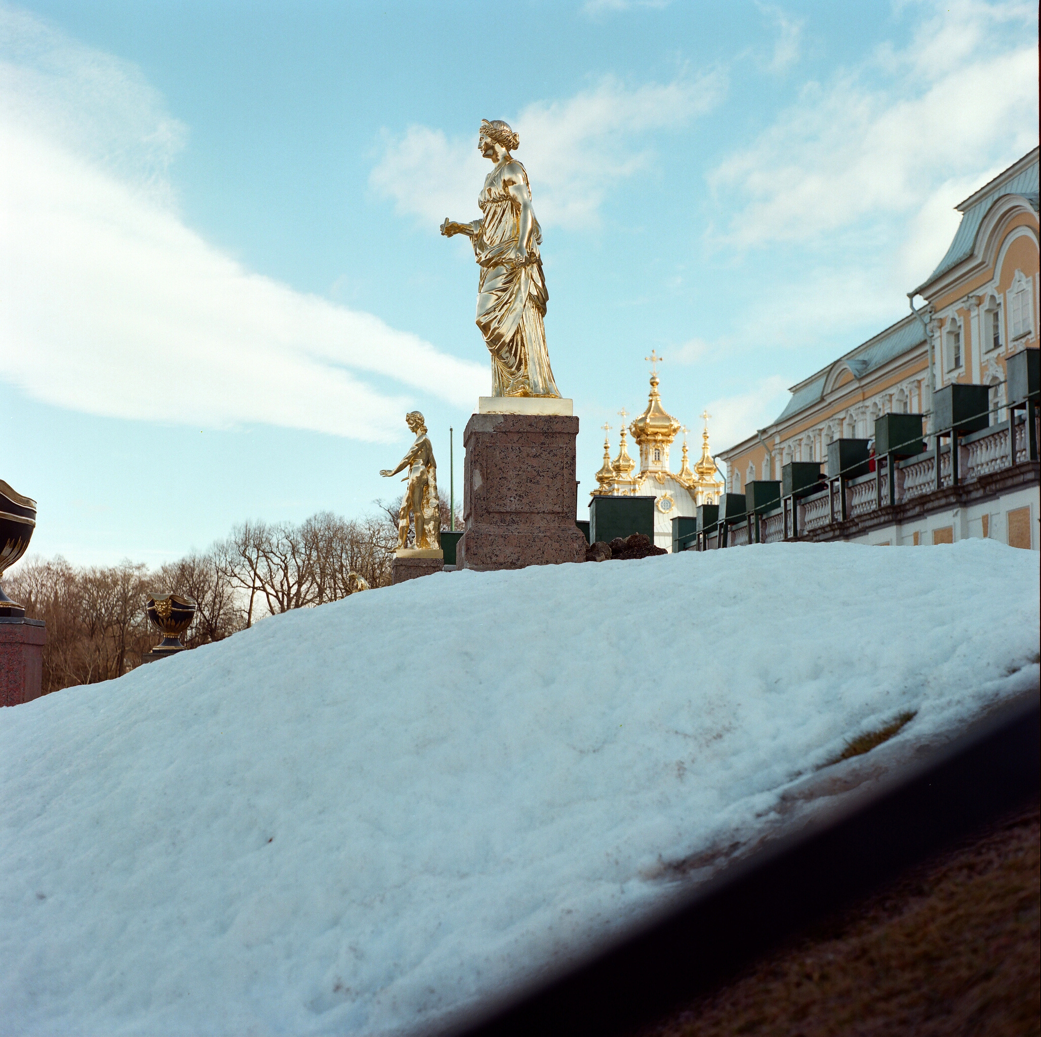 Дорога на Петергоф. Екатерина Васильева художник, куратор и преподаватель