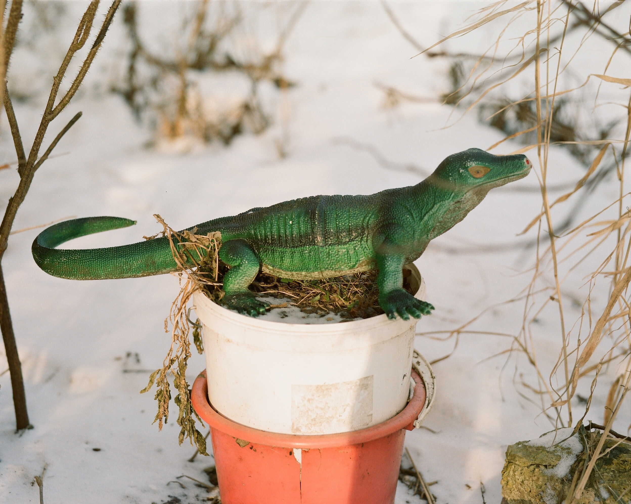 Дневник каньона. Екатерина Васильева художник, куратор и преподаватель