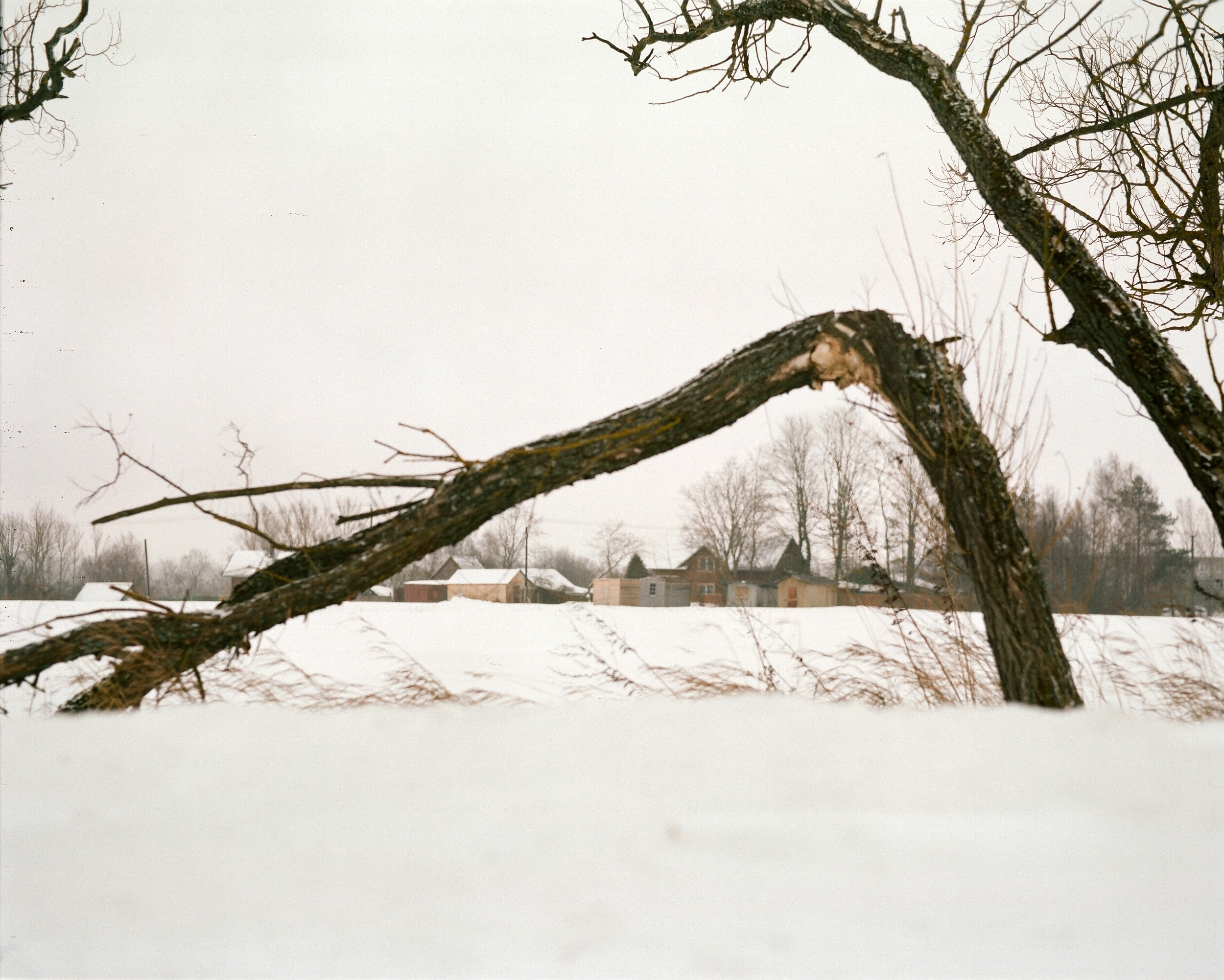 Дневник каньона. Екатерина Васильева художник, куратор и преподаватель