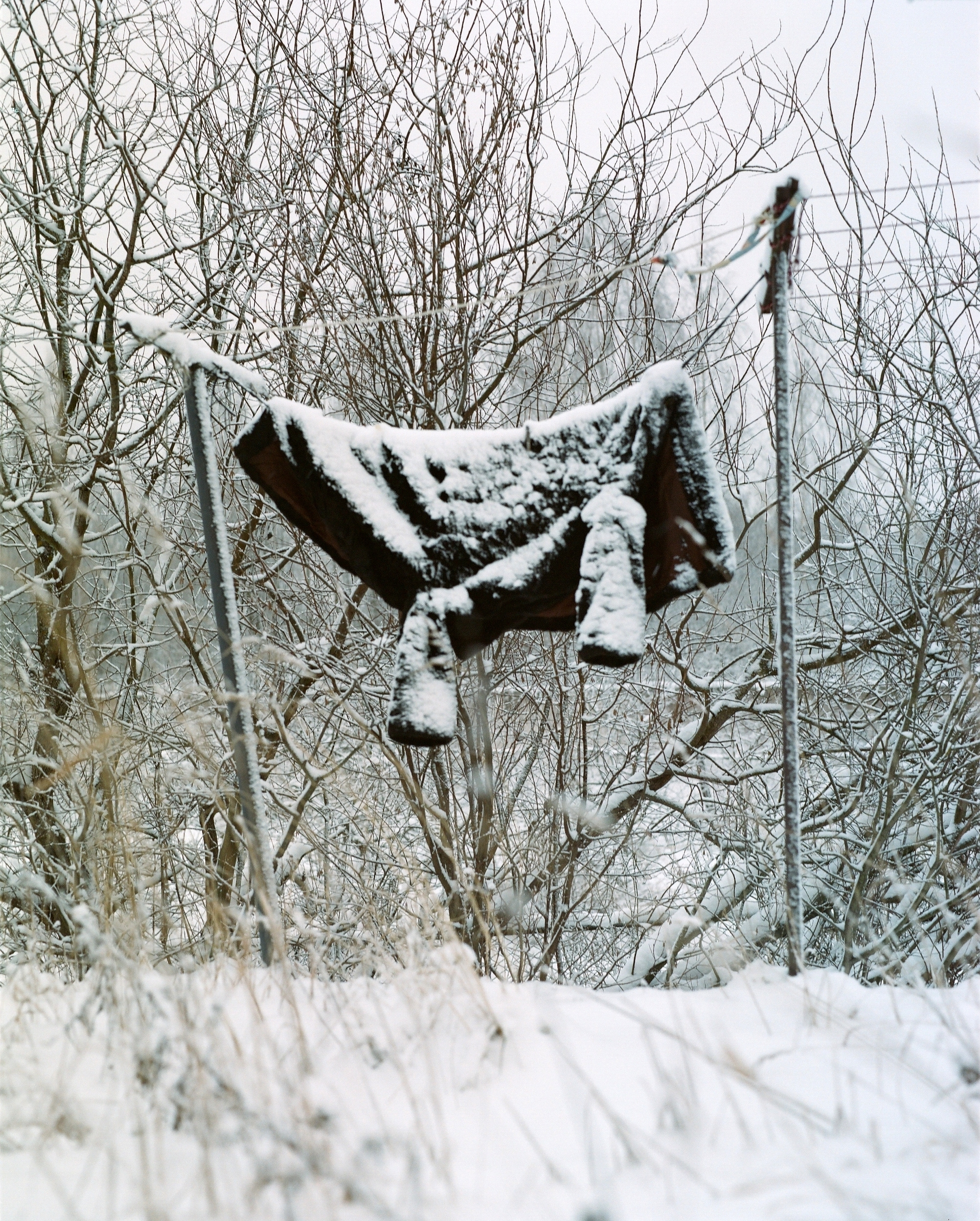 Дневник каньона. Екатерина Васильева художник, куратор и преподаватель