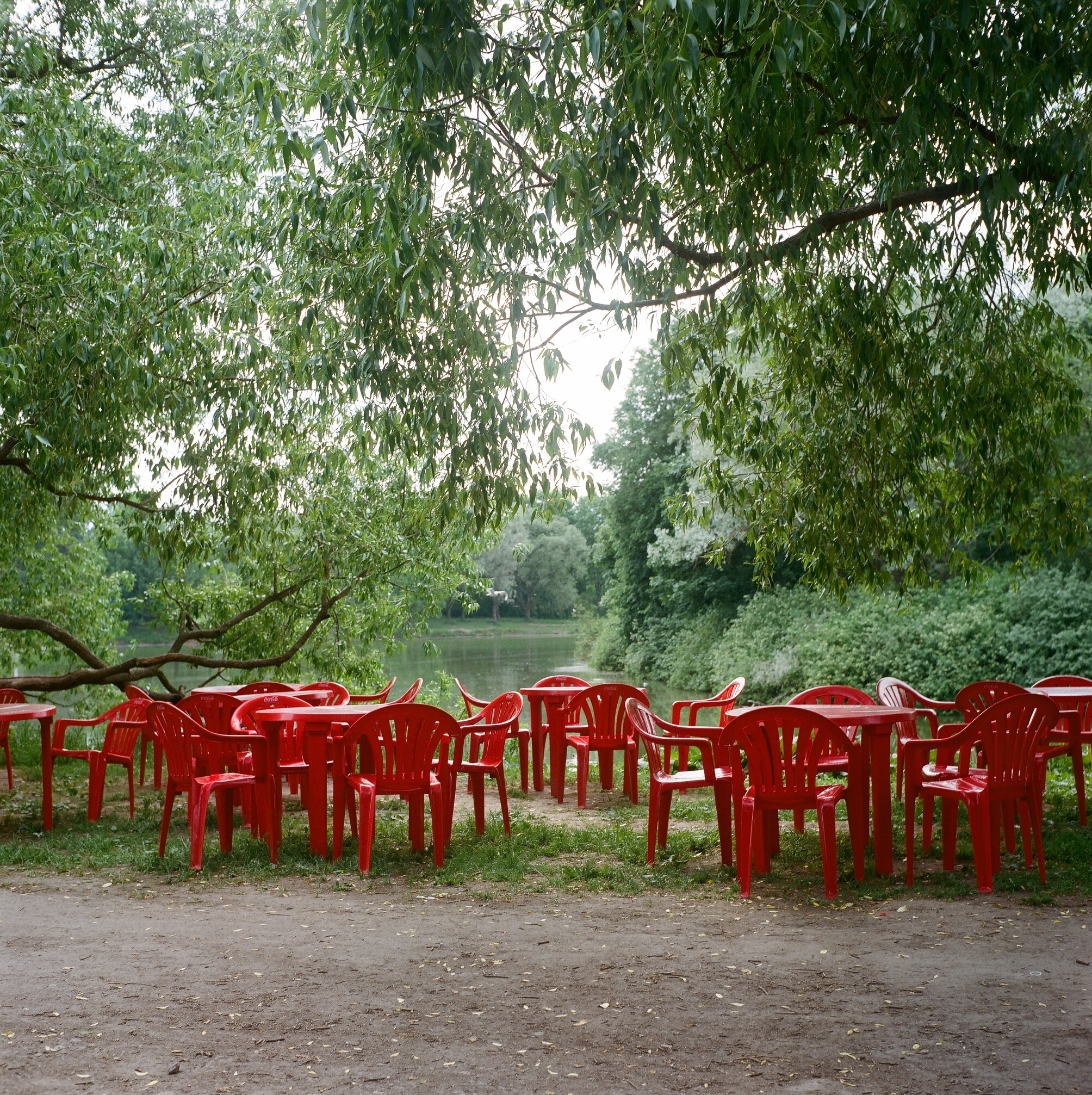 Дорога на Петергоф. Екатерина Васильева художник, куратор и преподаватель