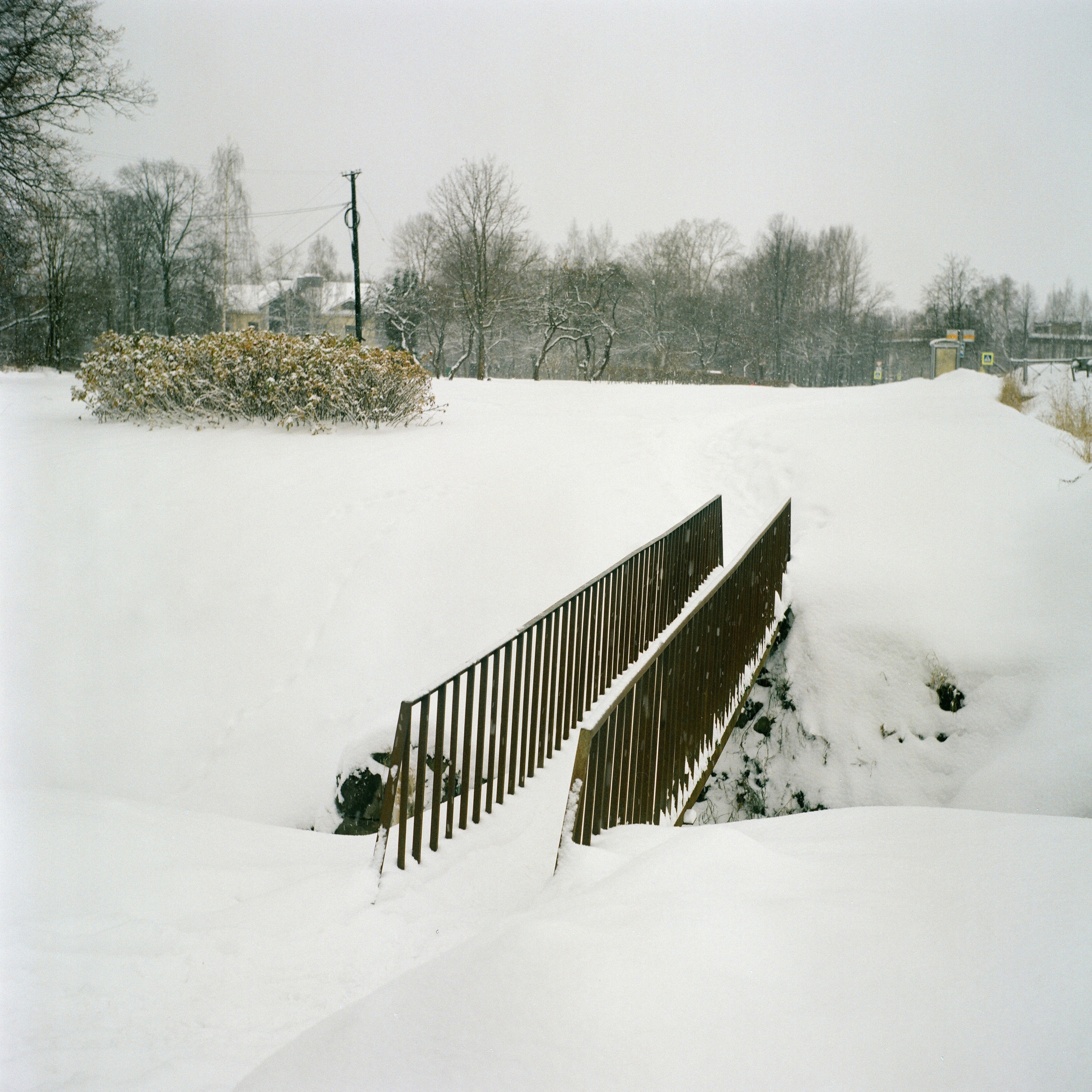 Дорога на Петергоф. Екатерина Васильева художник, куратор и преподаватель