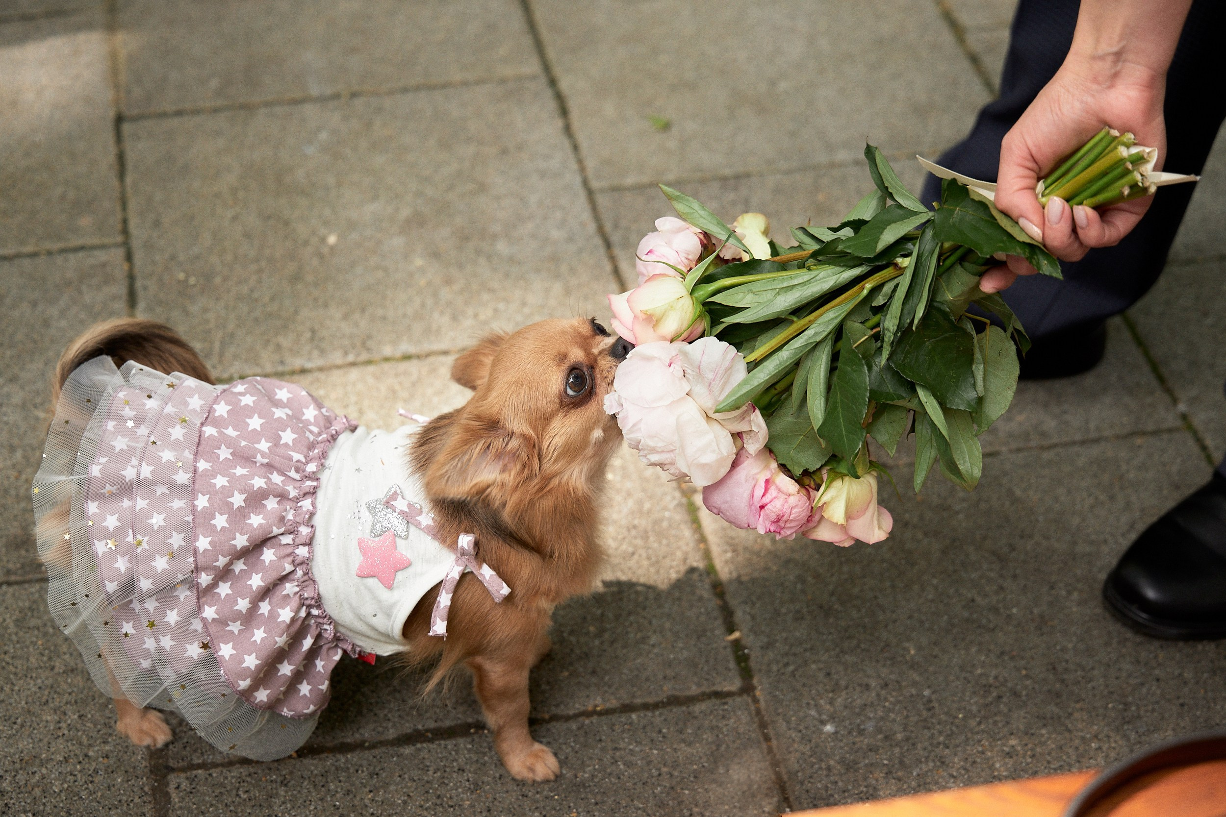Свадебный и предметный фотограф Бельских Павел в Москве